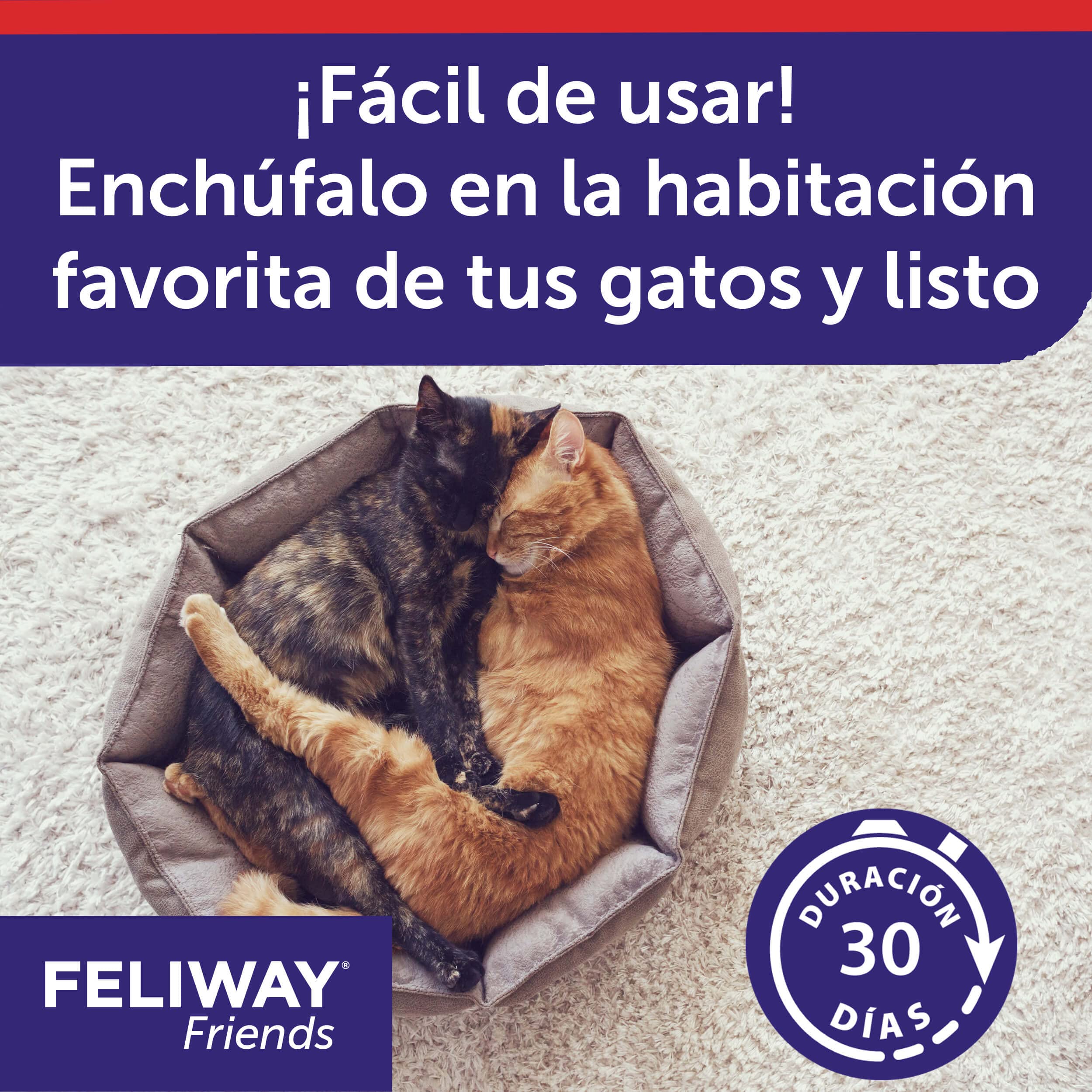 Feliway Friends Ricarica, 48 ml, 3 pezzi