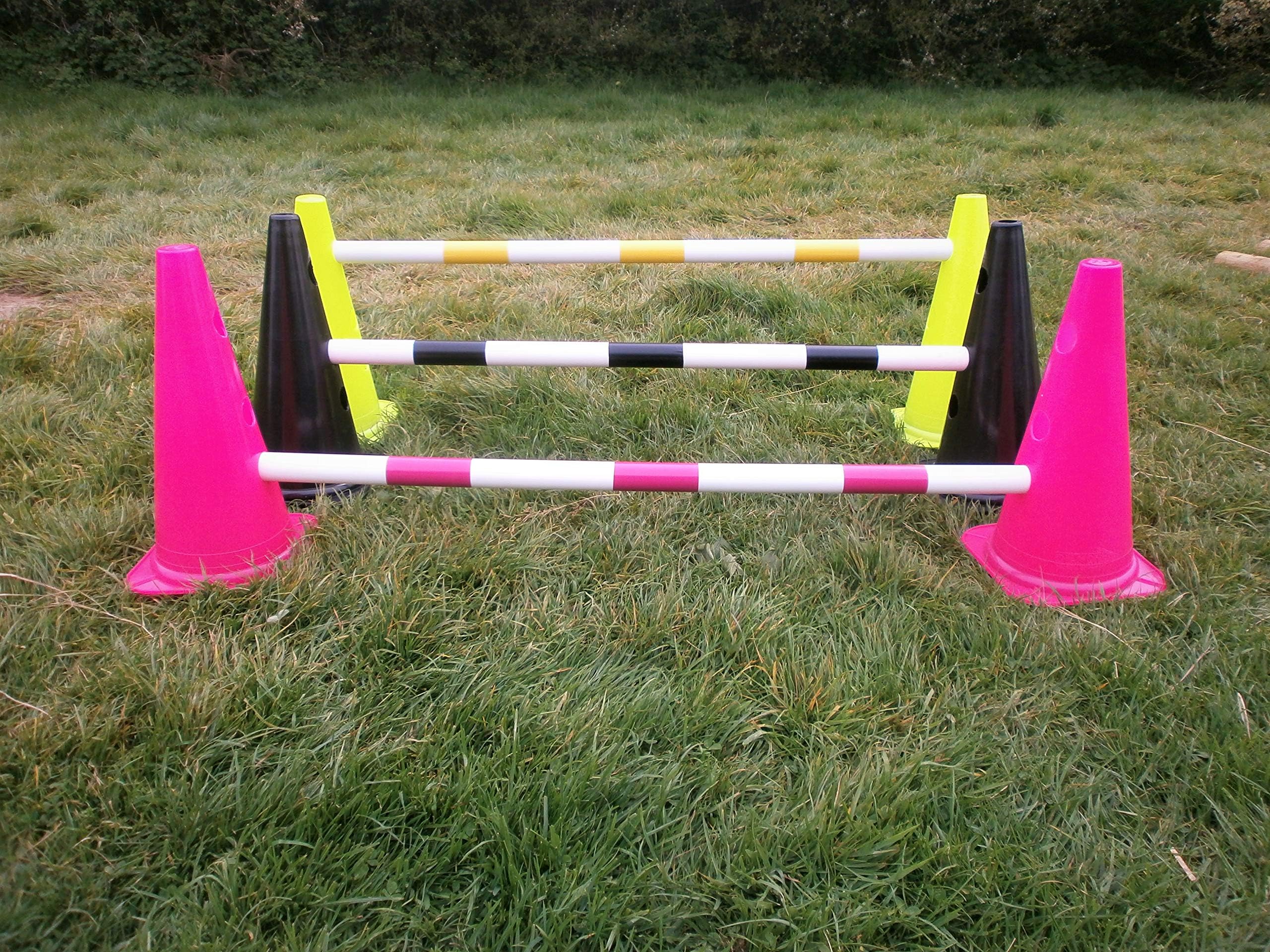 SET OF 3 DOG AGILITY CONE HURDLES, CAN BE USED INDOORS