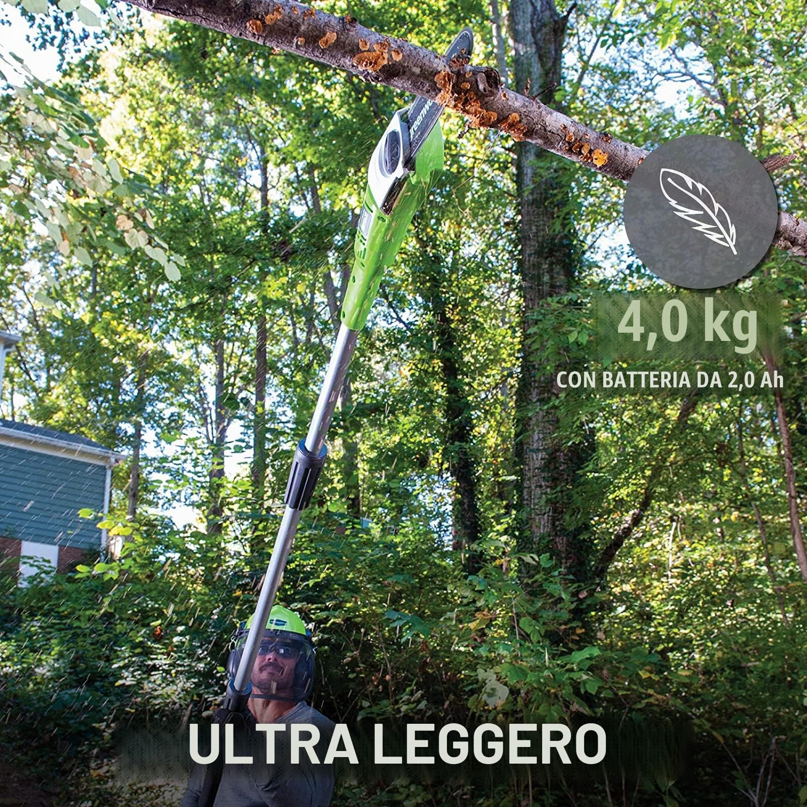 Greenworks Tools 2000107UA Potatore Telescopico con 2 Ah Batterie e Caricabatterie, 24 V, Verde, 20 cm (8") + Guida 20 cm (8") per Motosega, 29497