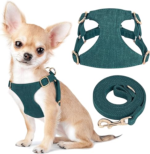 Didog Juego de arnés y correa para perro pequeño, suave y lindo arnés para perros pequeños, arnés ajustable para perros pequeños, arnés para perros