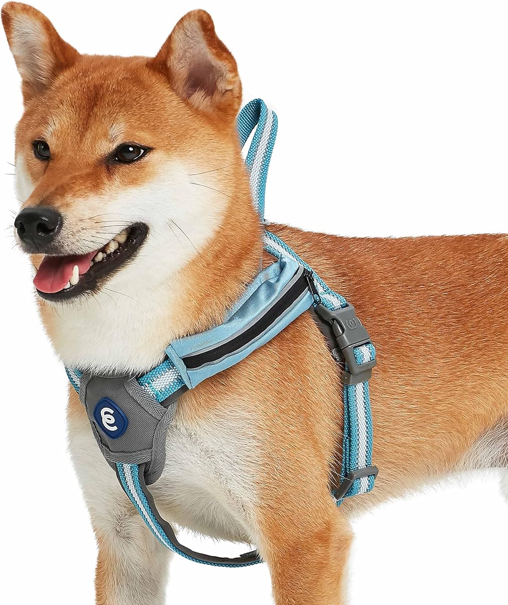 Blueberry Pet Essentials Reflective Back to Basics Dog Harness Vest with Treat Pocket, Sky Blue, Medium, Adjustable Harnesses for Dogs