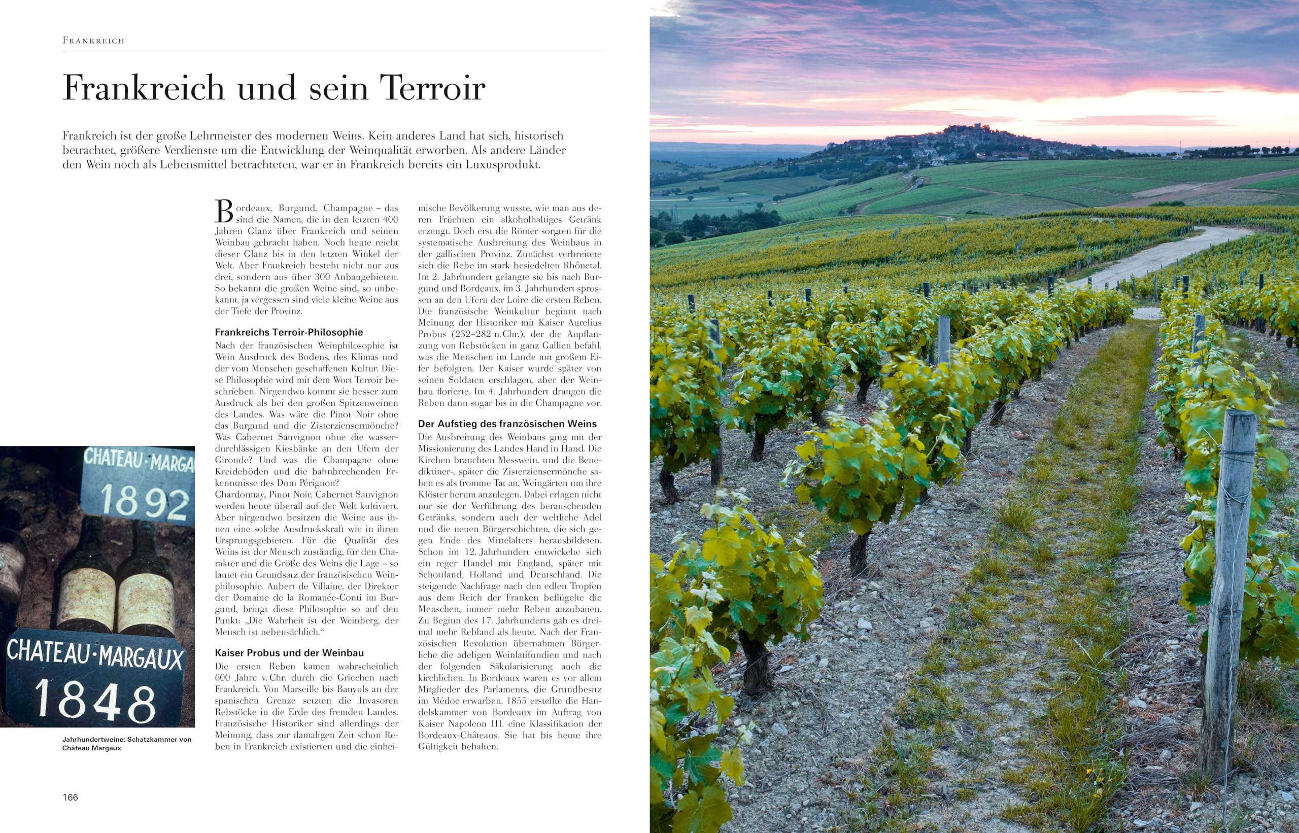 Wein: Die große Schule