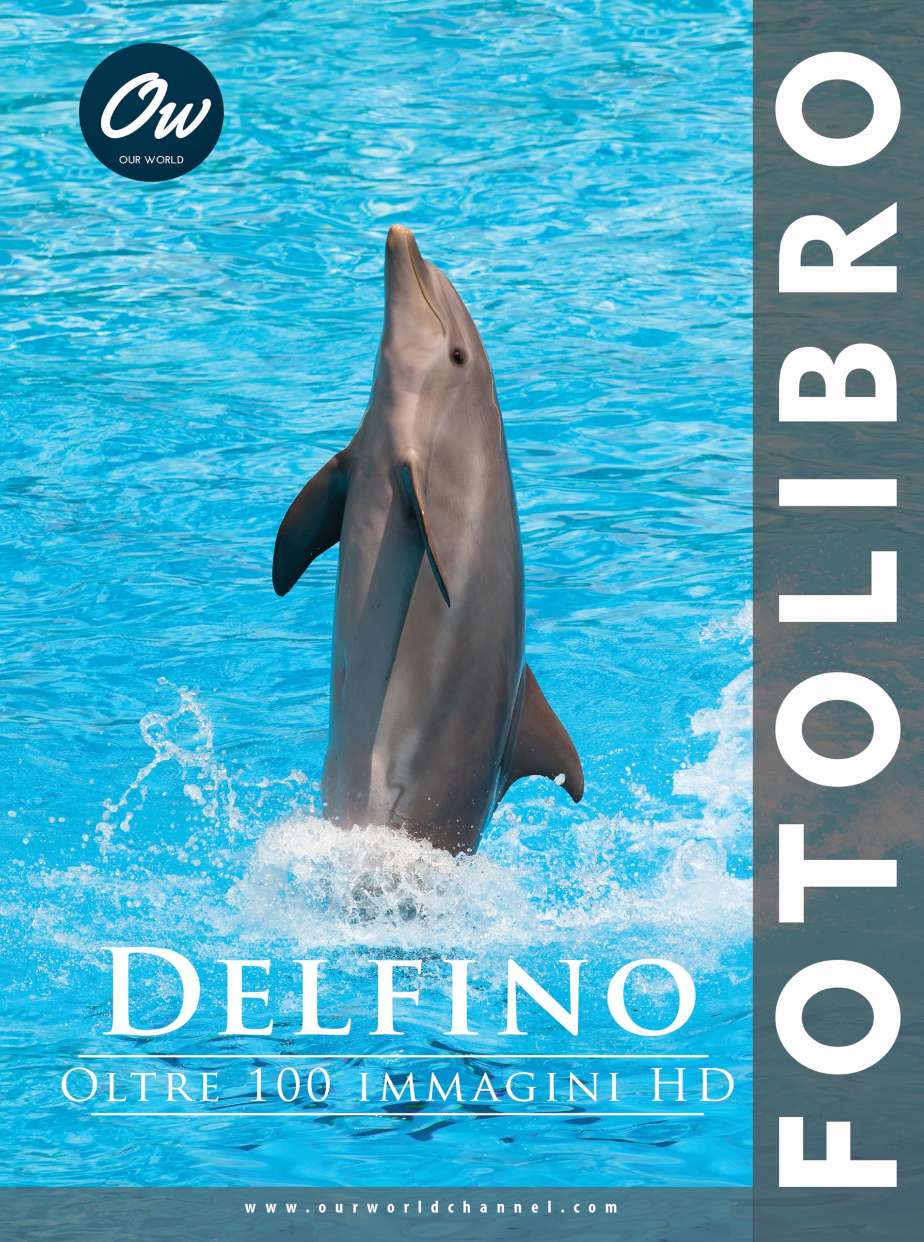 Livre photo dauphin cadeau idéal passionnés de mer et nature