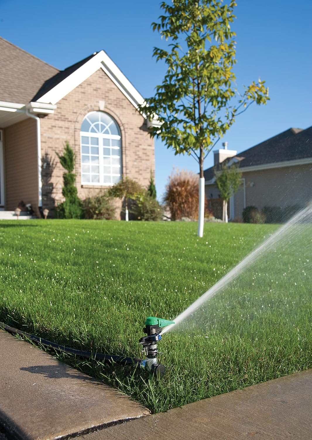 Rain Bird P5RLSP Plastic Impact Hose-End Lawn and Garden Sprinkler on Large Metal Spike, Adjustable 20° - 360° Pattern, 25' - 41' Spray Distance