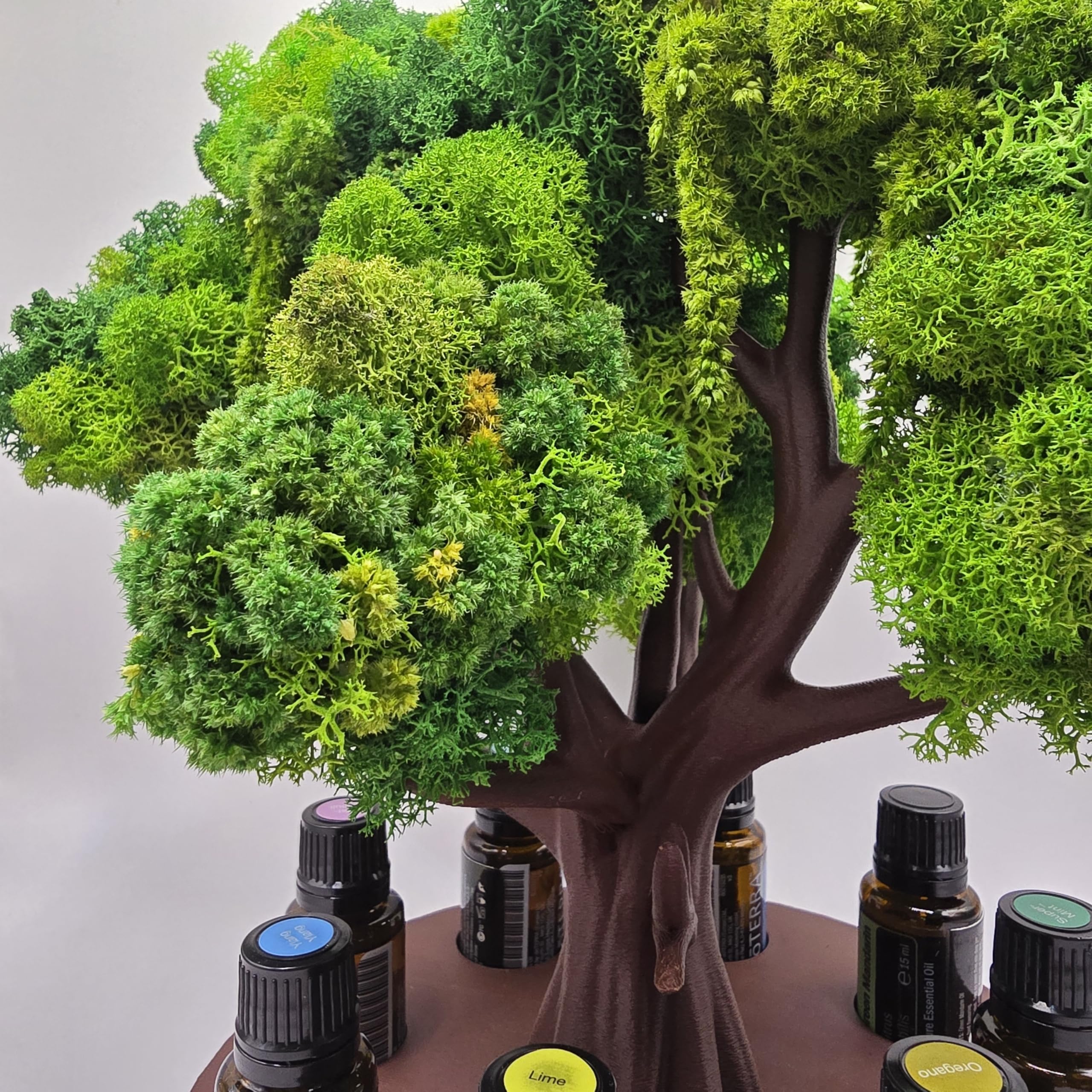 Ölständer Baum-Design | 8er Organizer für 15 ml Fläschchen Ø22 mm (für doTERRA & andere Marken) | Premium skandinavisches Rentiermoos | Handgefertigt