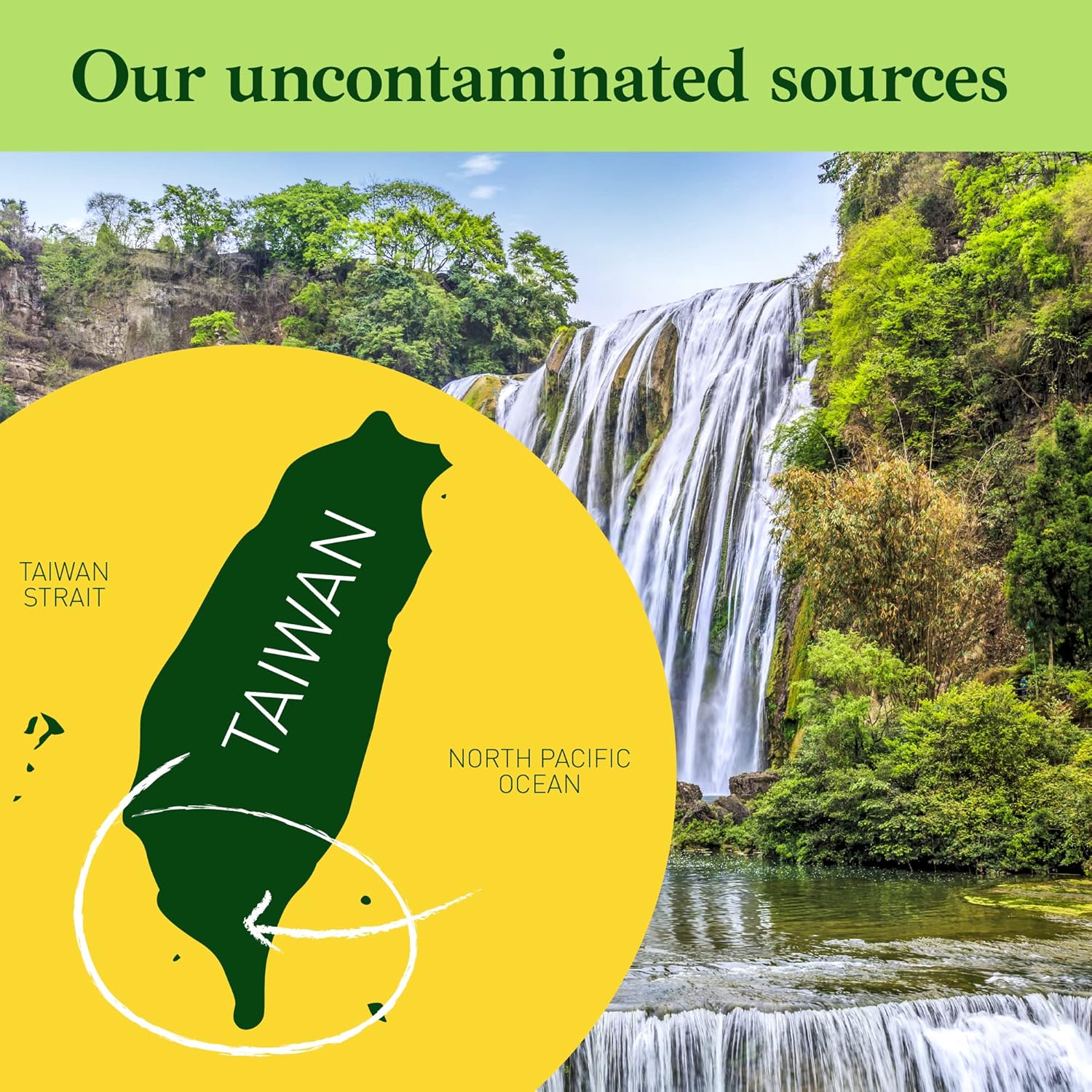 Organic Chlorella Spirulina Powder – USDA Certified Organic – Product of Taiwan - 100 Sevings (7.05 Ounce) : Health & Household