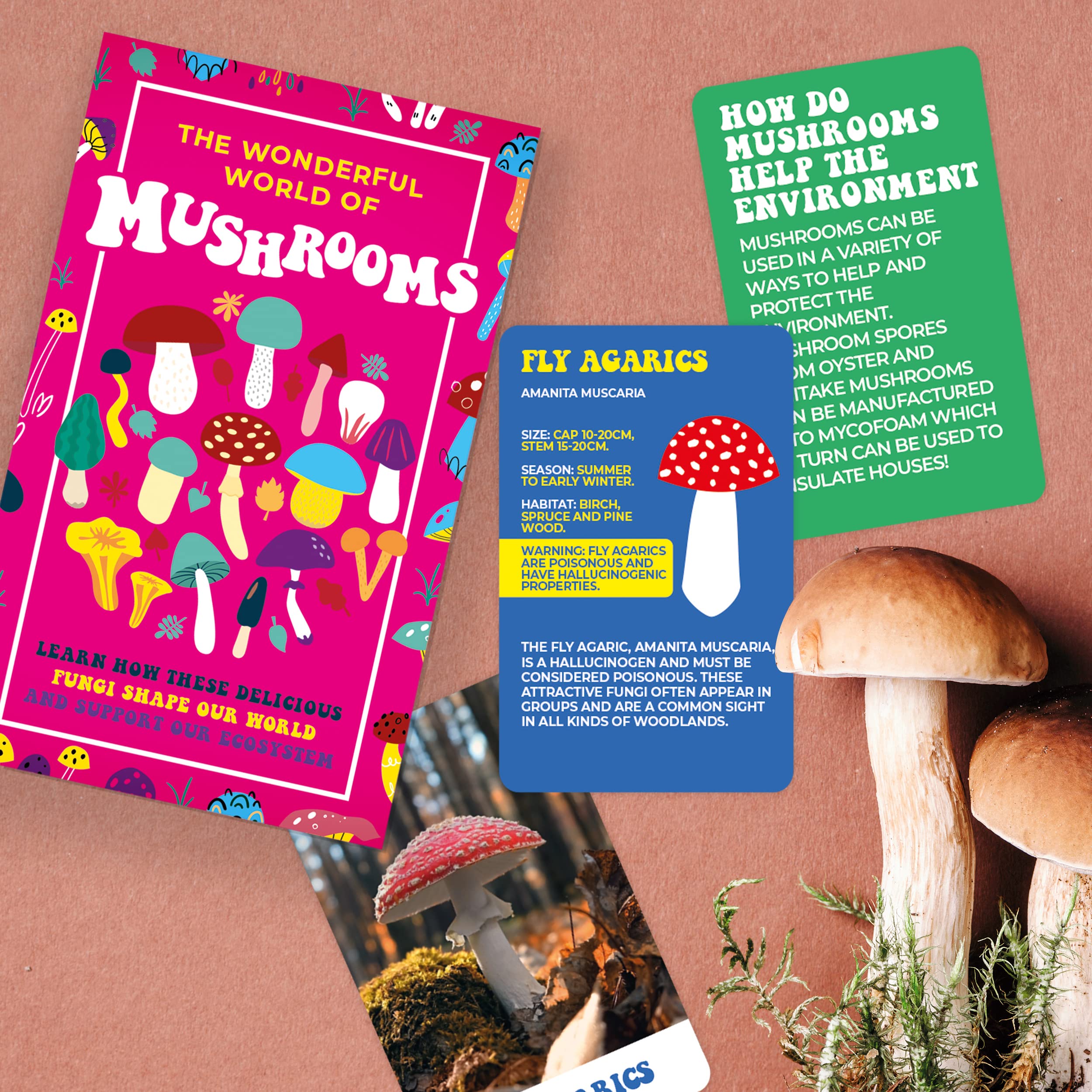 Mushroom Identification Gift Wonderful World of Fungi Learn Novelty Flash Cards