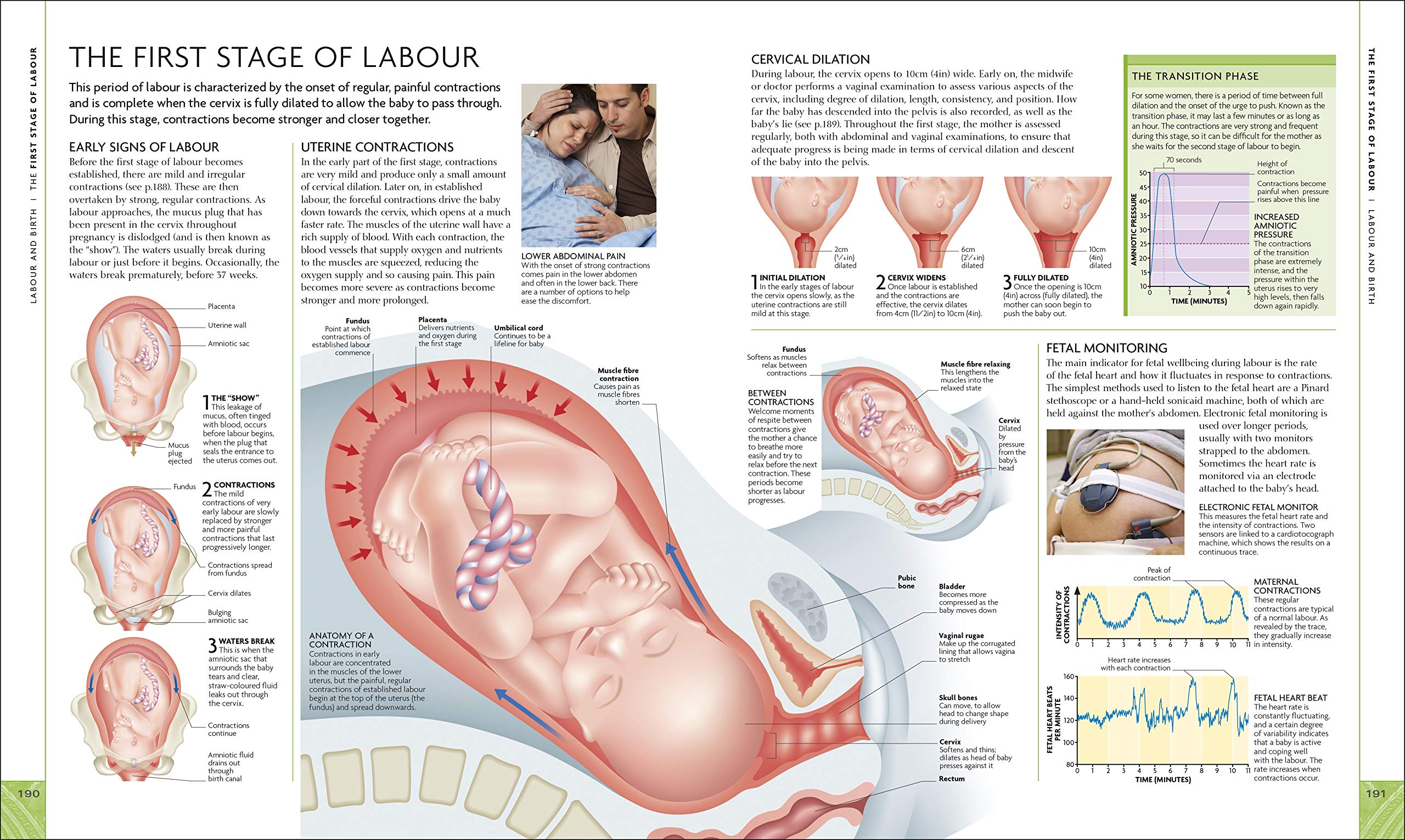 The Science of Pregnancy: The Complete Illustrated Guide from Conception to Birth