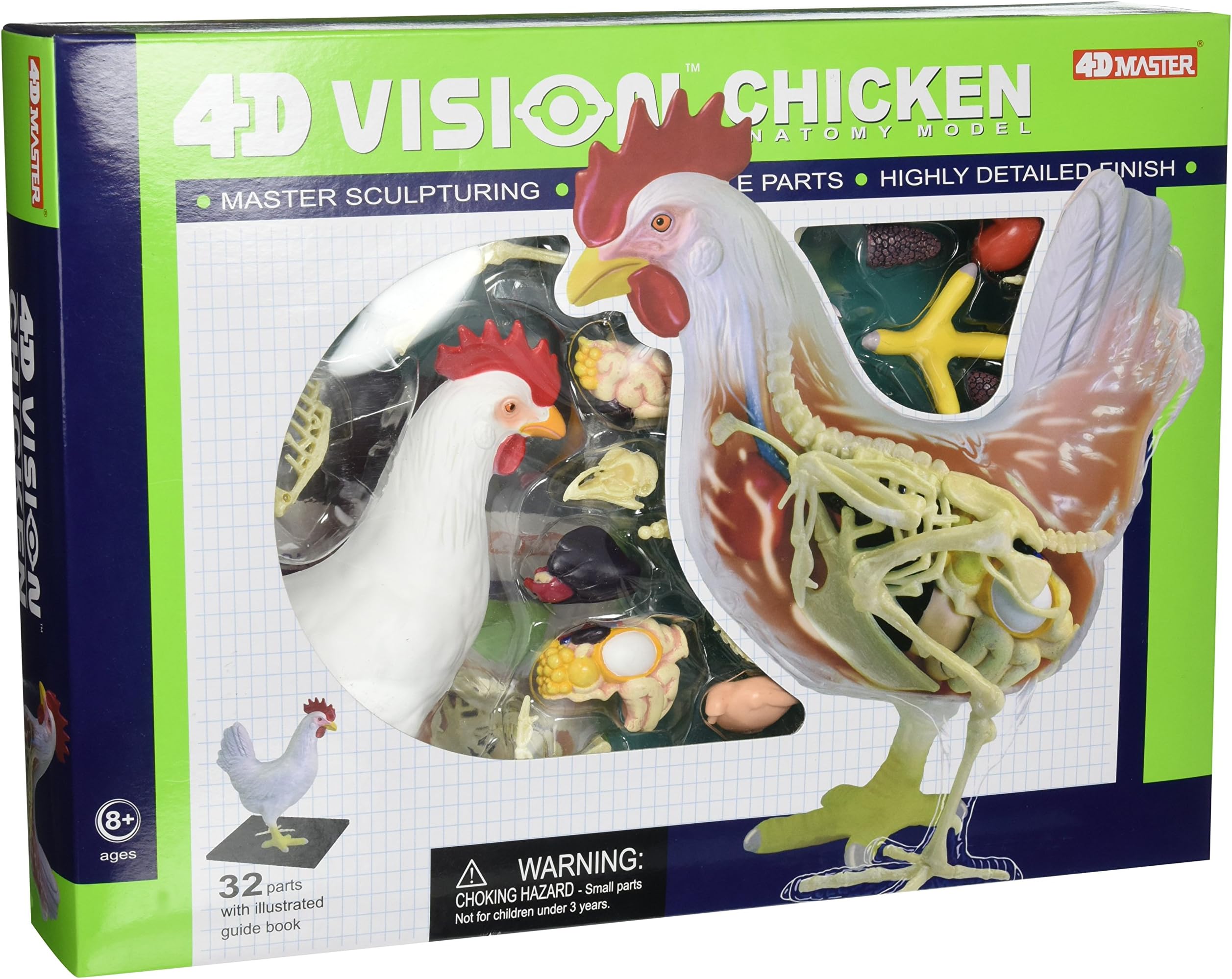 Tedco 4D Vision Chicken Anatomy Model