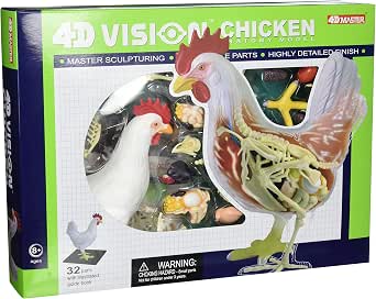Tedco 4D Vision Chicken Anatomy Model