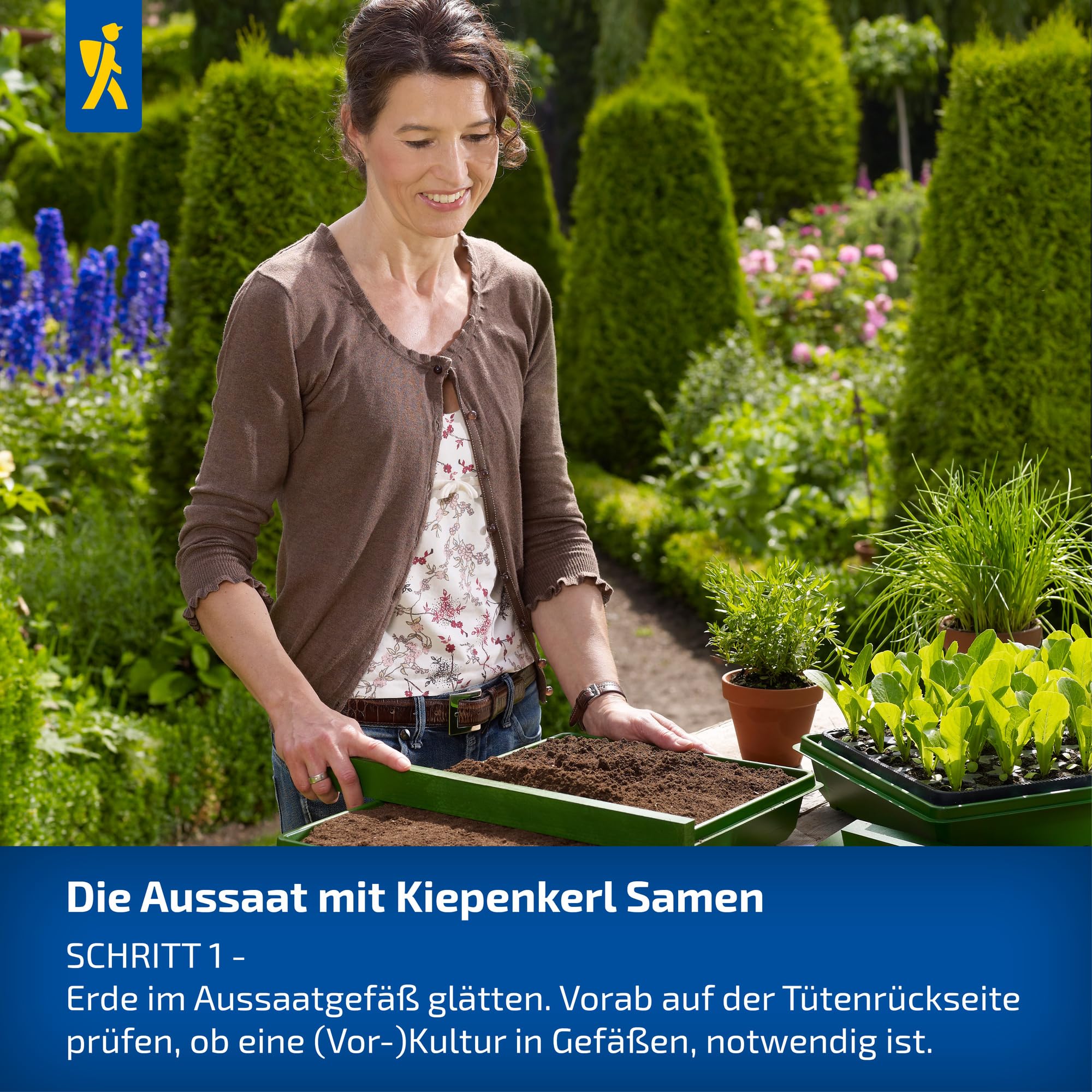 Kiepenkerl Markerbsensamen Evita 1005710 - ertragreiche, schnell reifende  Markerbse mit krftigem, gut verzweigtem Wuchs - Gemsepflanzen, Saatgut,  Samen Gemse : Amazon.de: Garten