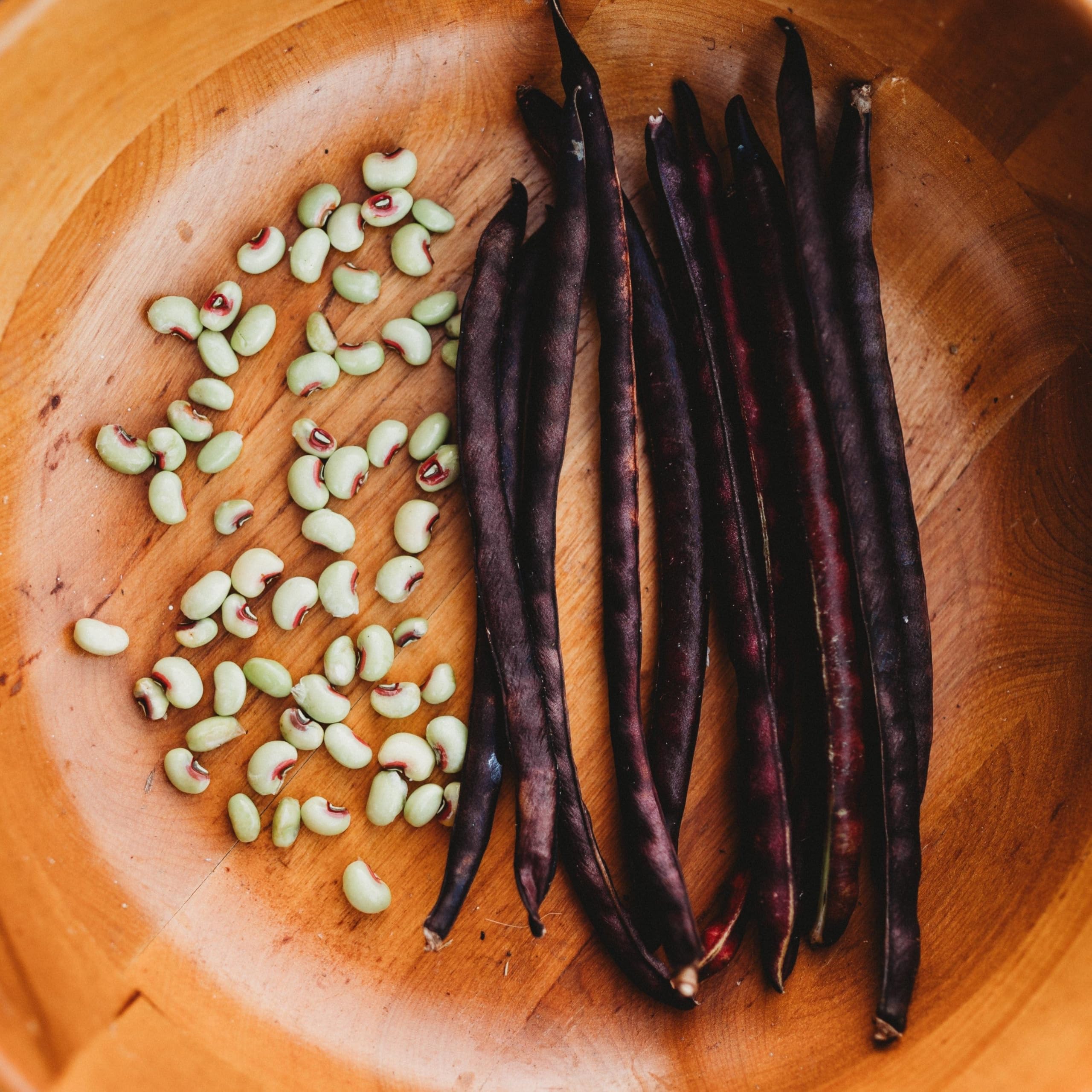 Thresh Seed Co. Pink-Eyed Purple Hull Cowpea