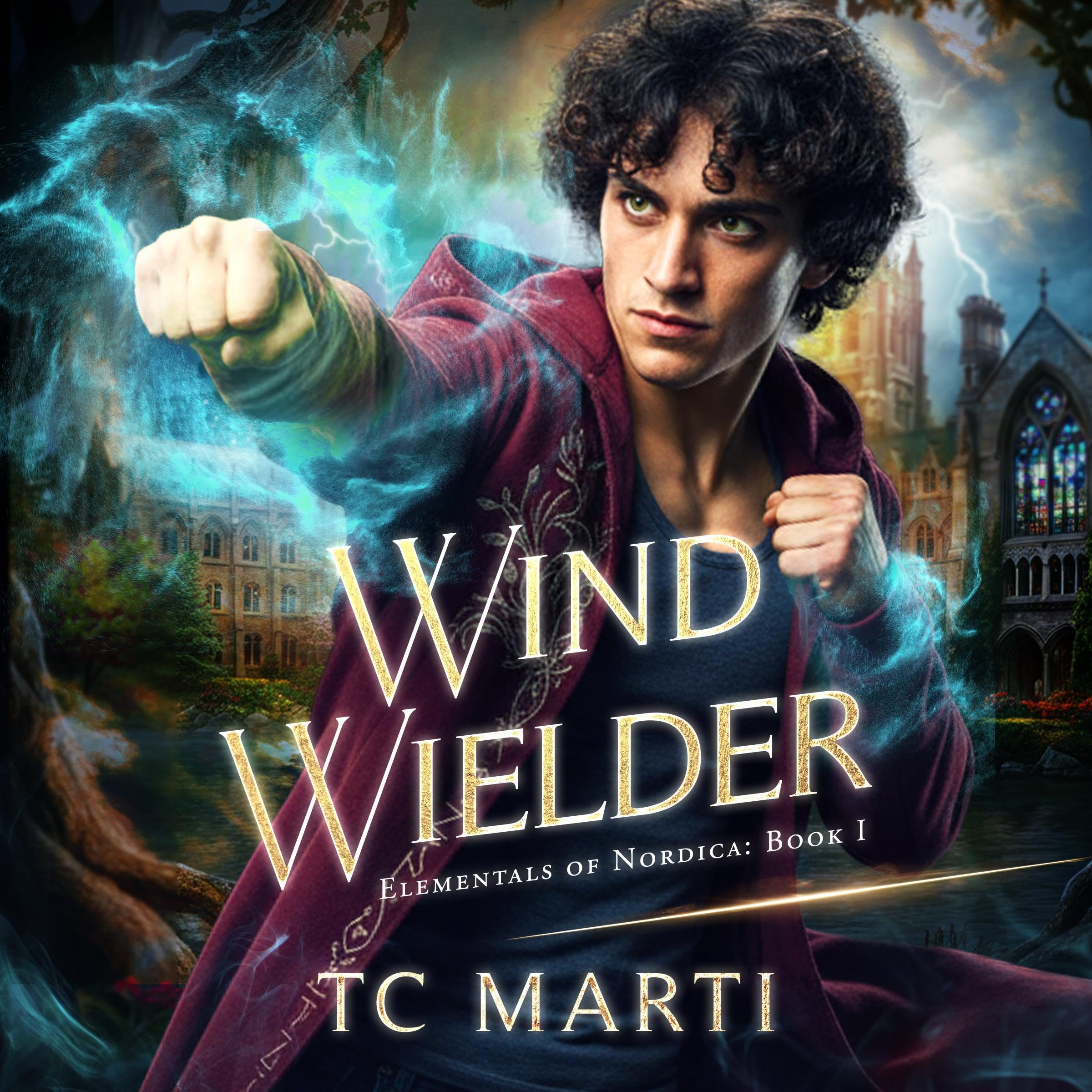 Cover art for Wind Wielder