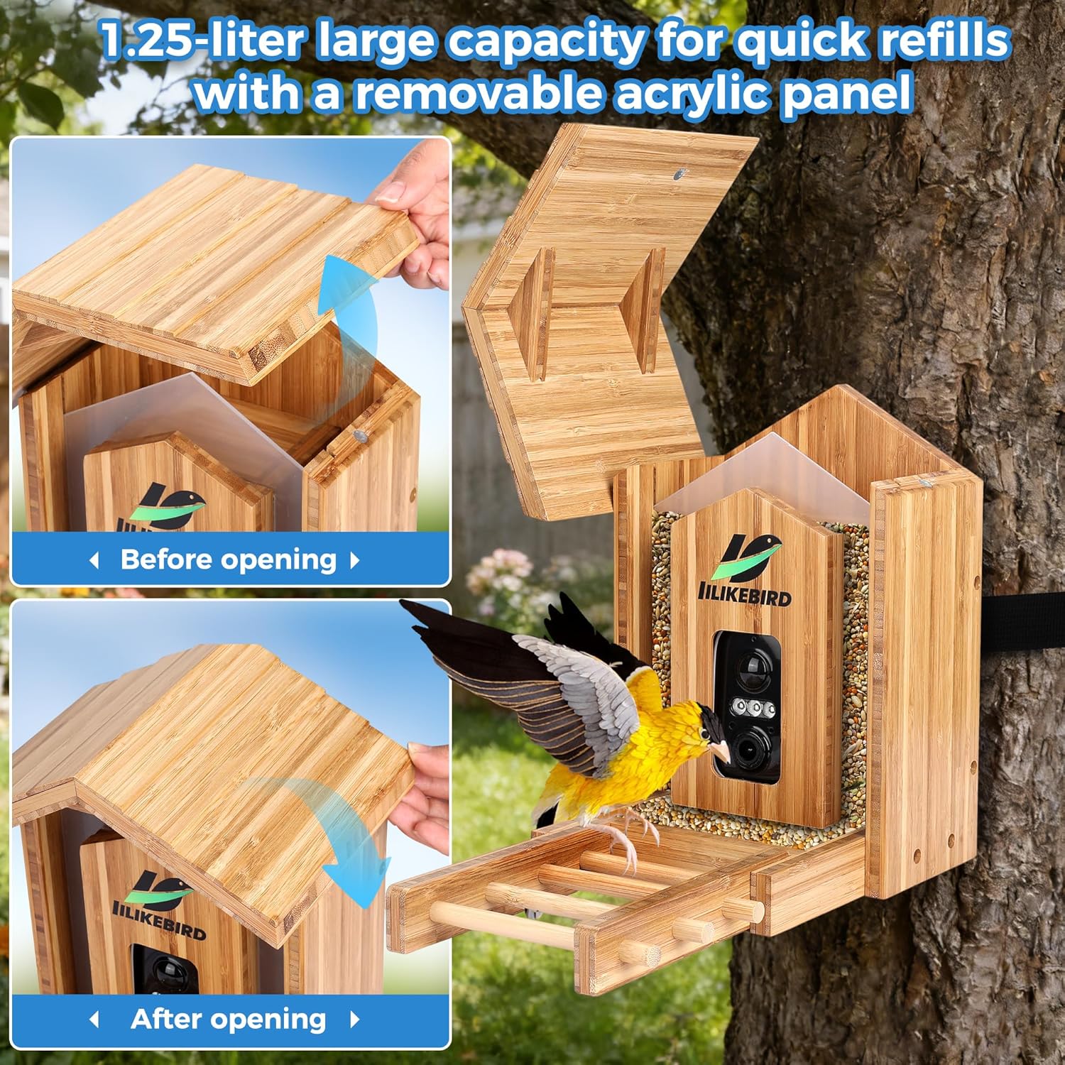 Smart Bird Feeder with 4K Camera, 10000+ AI Bird Identification, Solar & USB-C Charging, IP65 Weatherproof, Wall/Pole Mount Small Bird Feeder for Outdoor Gardenf