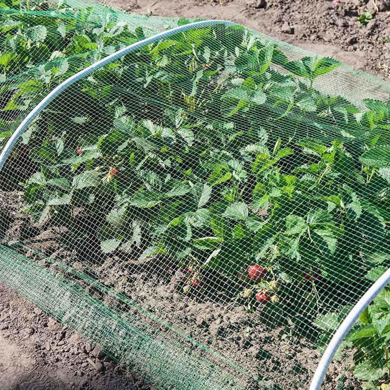 Filet Oiseaux Filet Anti Oiseaux Filet Poules Voliere Arbre Fruitier Filet pour Arbres Fruitiers,10x10m