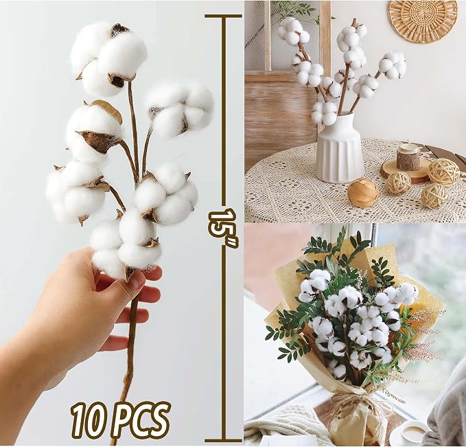 10 Packs Natural Dried Cotton Stems - 15 Inch Real Cotton Flowers with 20 Bolls, Rustic Farmhouse Decor Branches Bundle for DIY Vase Fillers and Wedding Centerpiece, Christmas, Halloween miniatura 4