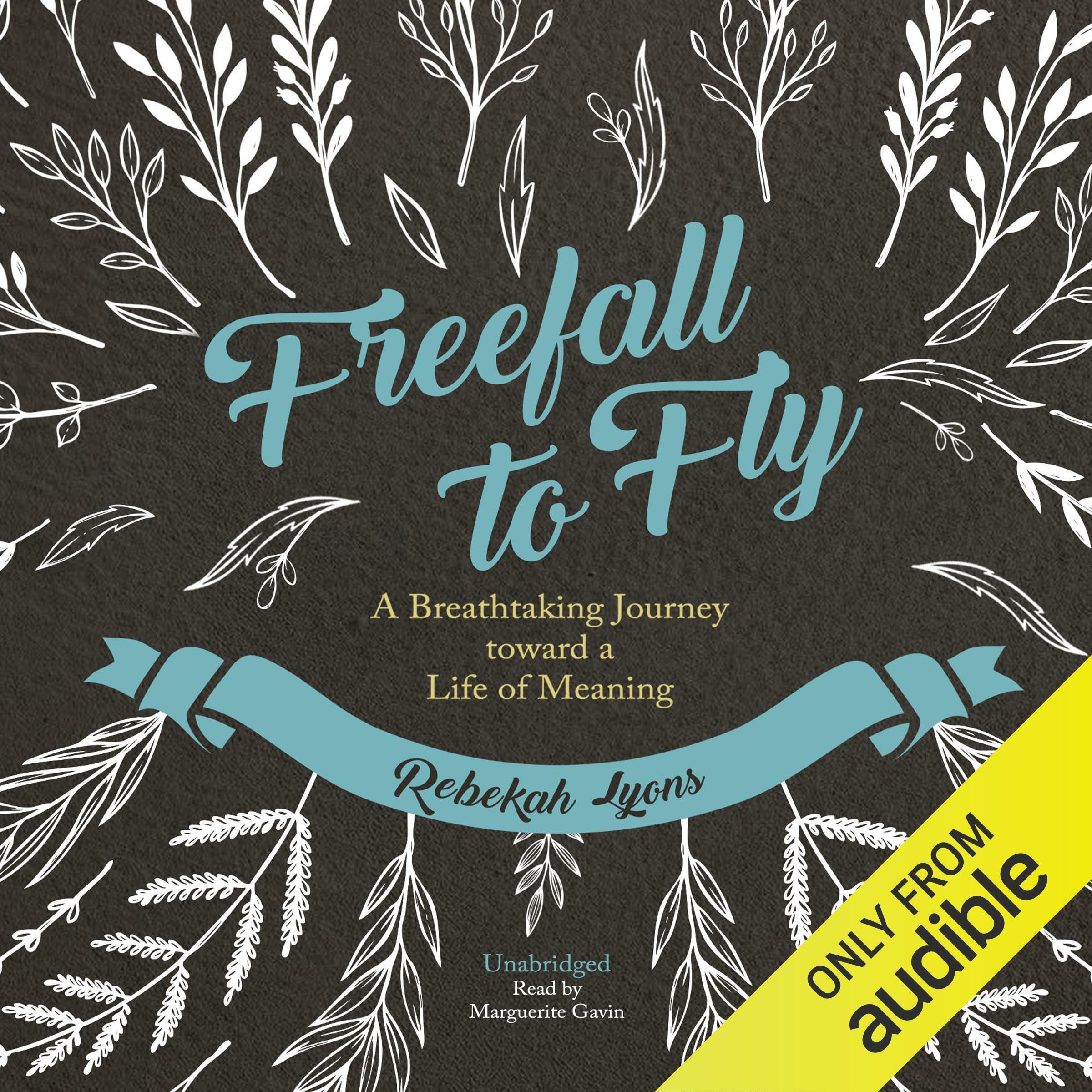 Cover art for Freefall to Fly