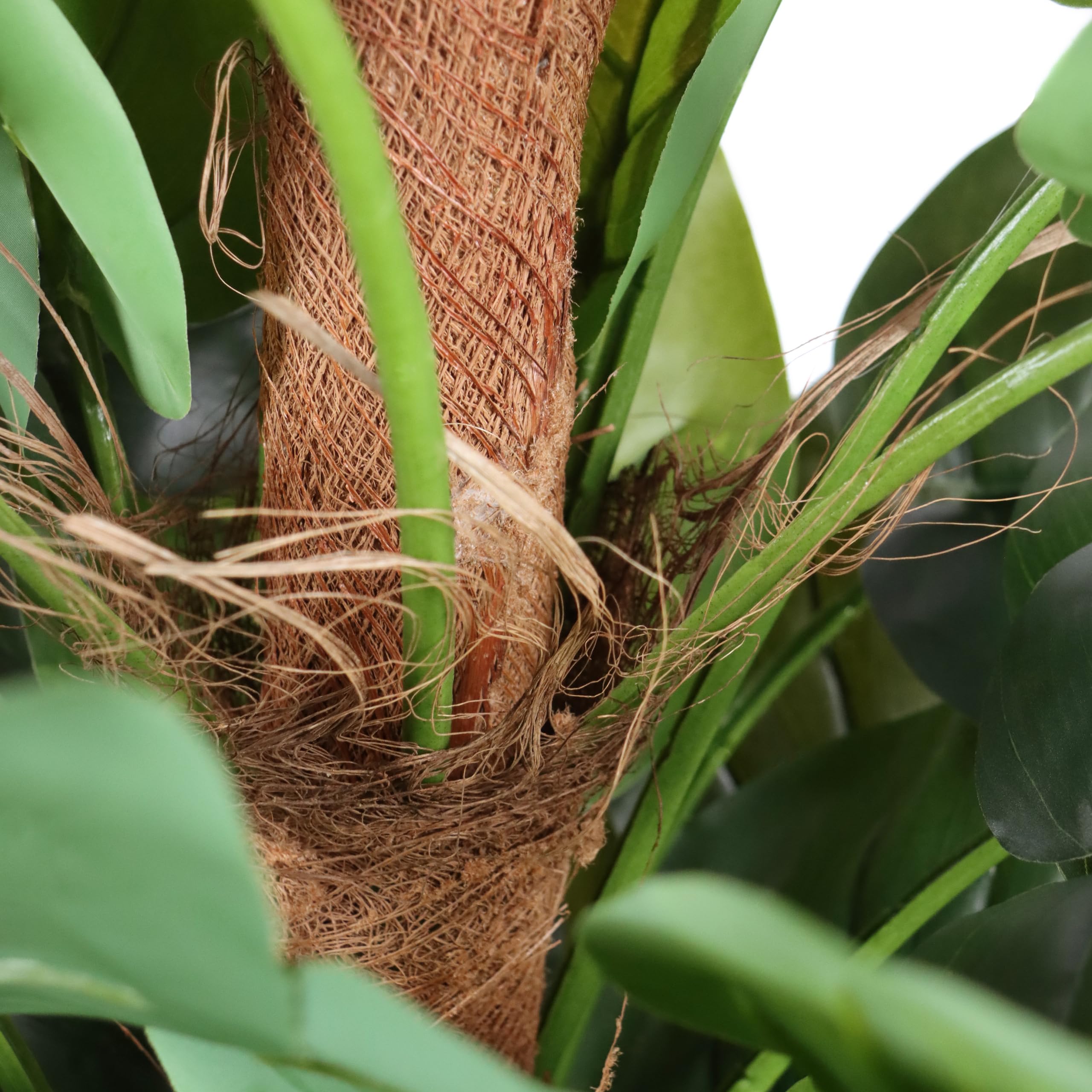 hjh OFFICE Kunstbaum 155cm EPIPREMNUM Künstliche Deko Pflanze im weißen Topf, Kunstfplanze groß, exotische Efeutute für Innen
