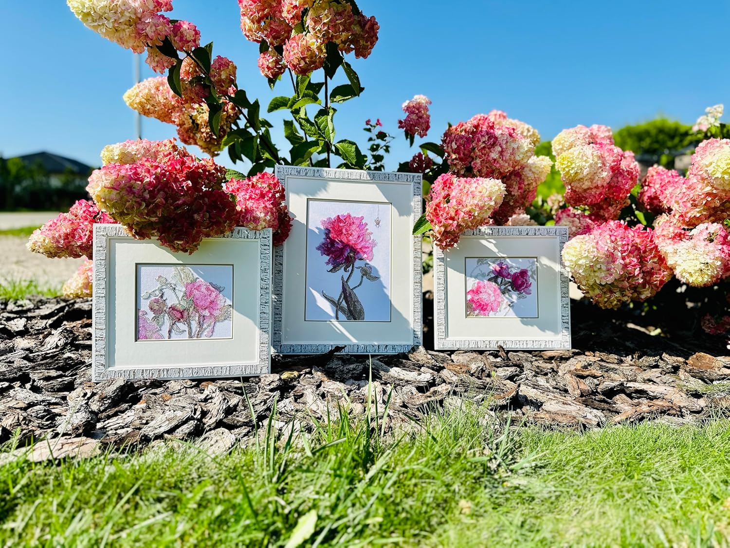 Aine - Peonies. Delight A1009, Cross Stitch Kits 7"x6", Cross Stitch Kits for Beginners & Advanced, Crossstitching Kits Adult, Counted Cross Stitch Kits for Adults, Flowers Embroidery Kit