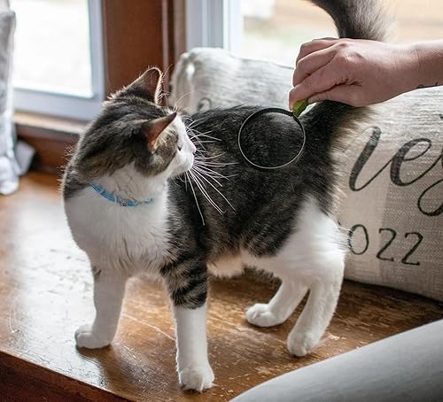 Miniatura 2 de Coastal Pet Safari - Cuchilla para quitar pelo de gatos, herramienta de acero inoxidable para quitar pelos de mascotas, fácil de usar, herramienta