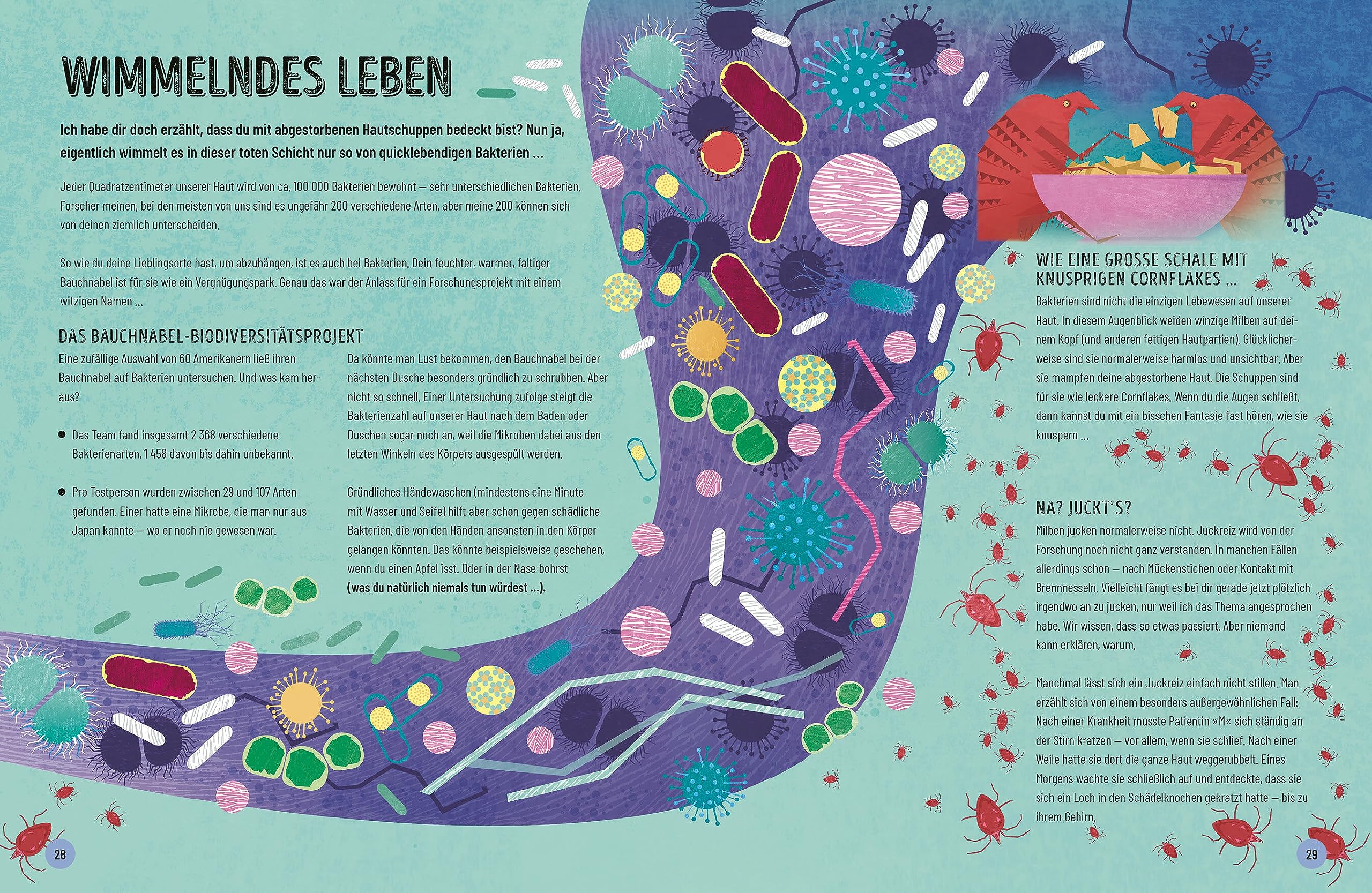 Eine kurze Geschichte des menschlichen Körpers - Eine atemberaubende Reise von der Nasenspitze bis zum großen Zeh: Überarbeitete Neuausgabe nach dem ... Bryson - Ausgabe für junge Leser*innen: 2