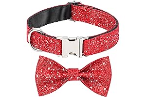 Glamorous Canine Couture: Red Bow Dog Collar for Posh Pups