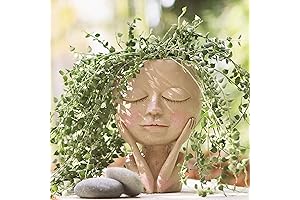 Charming Face Vase Planter: Aimebby's Enchanting Decor for Your Green Haven
