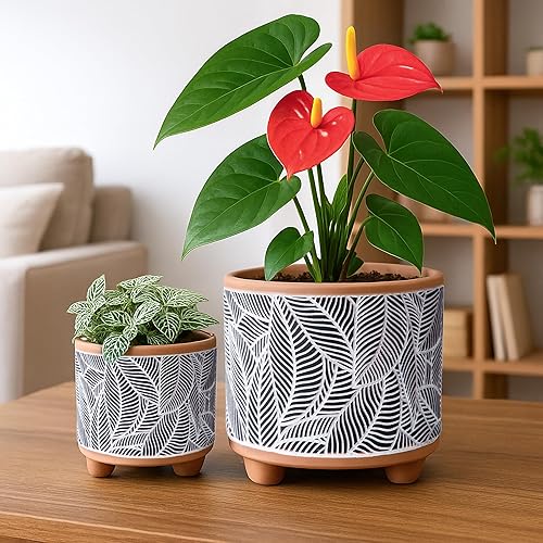 Miniatura 4 de Juego de 2 macetas de terracota, 4.4 pulgadas y 6.4 pulgadas, patrón de hojas con agujero de drenaje, terracotanegro, 31-953-H-2