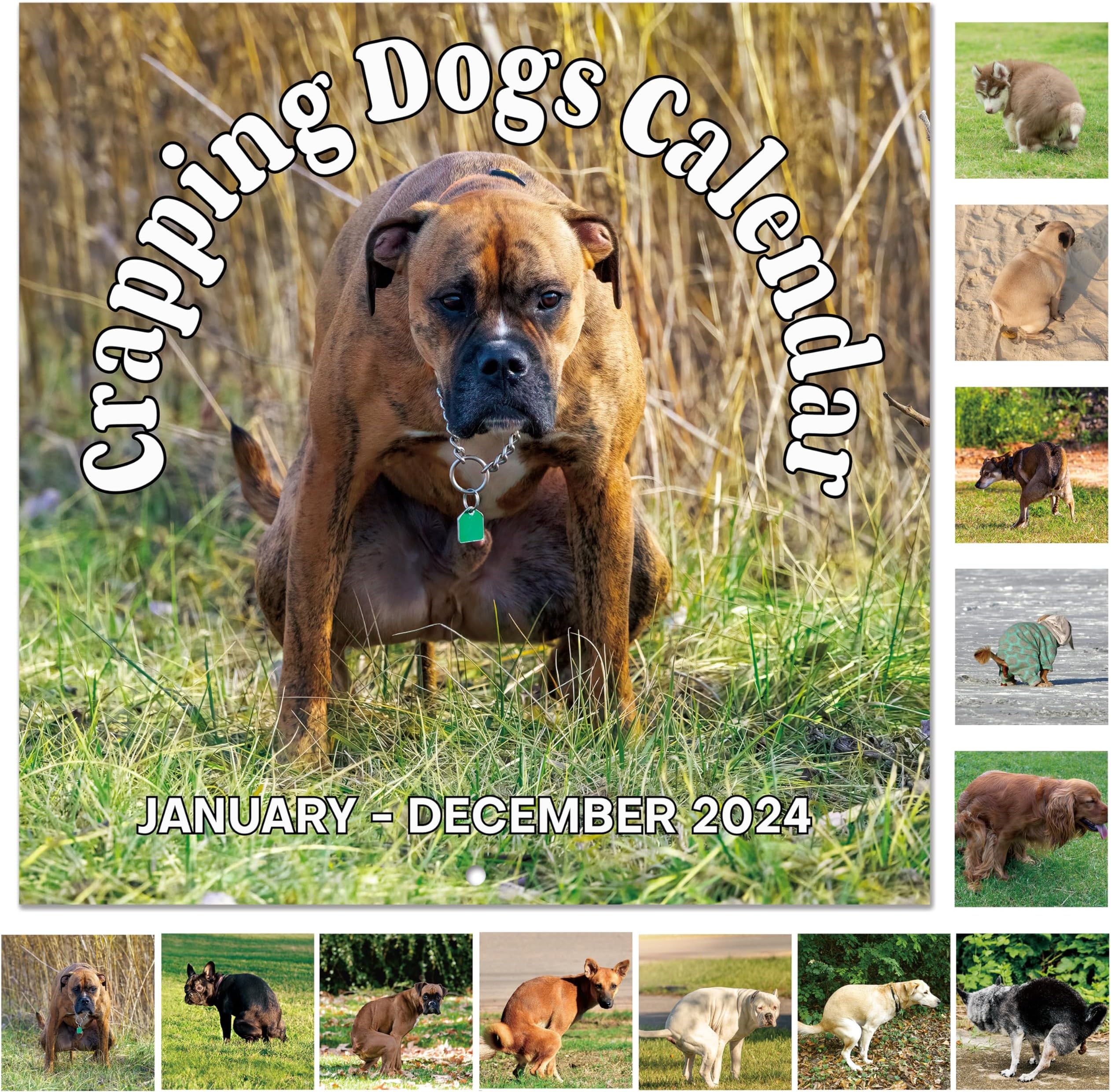 Pooping Pooches White Elephant Gag Gift Calendar Gag