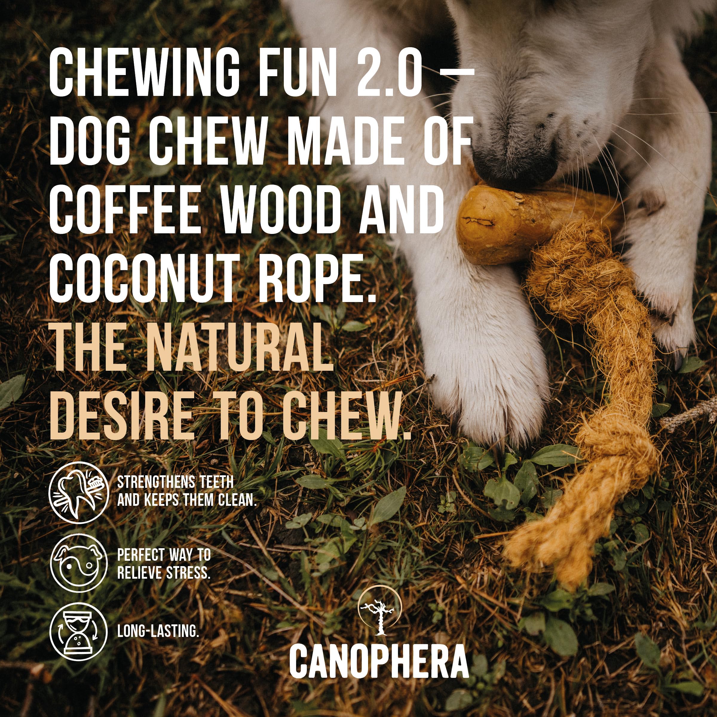 Canophera Dog CHEW Made of Coffee Wood and Coconut Rope - for All Breeds (Large)