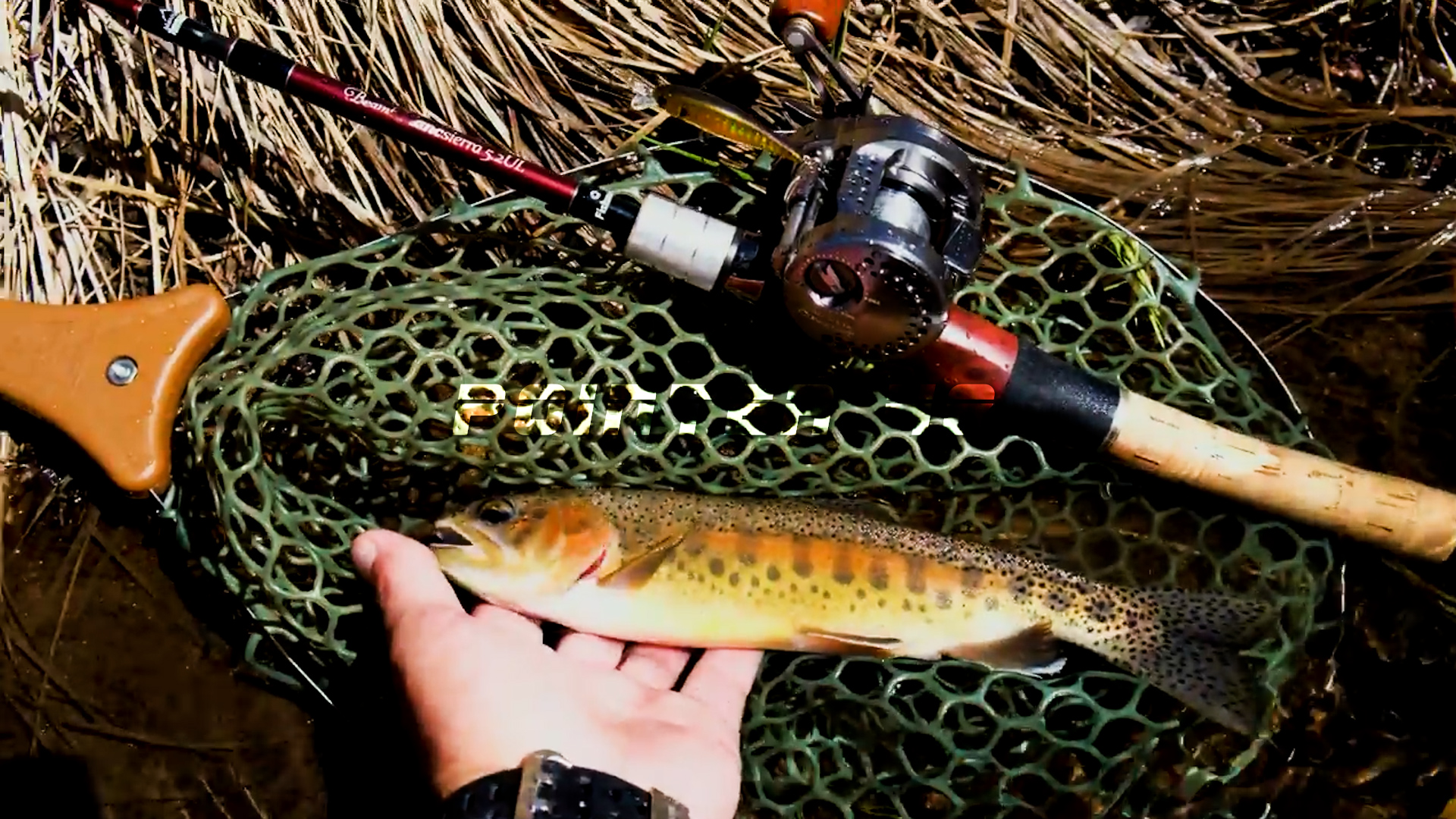 Lucky Craft USA: River Trout