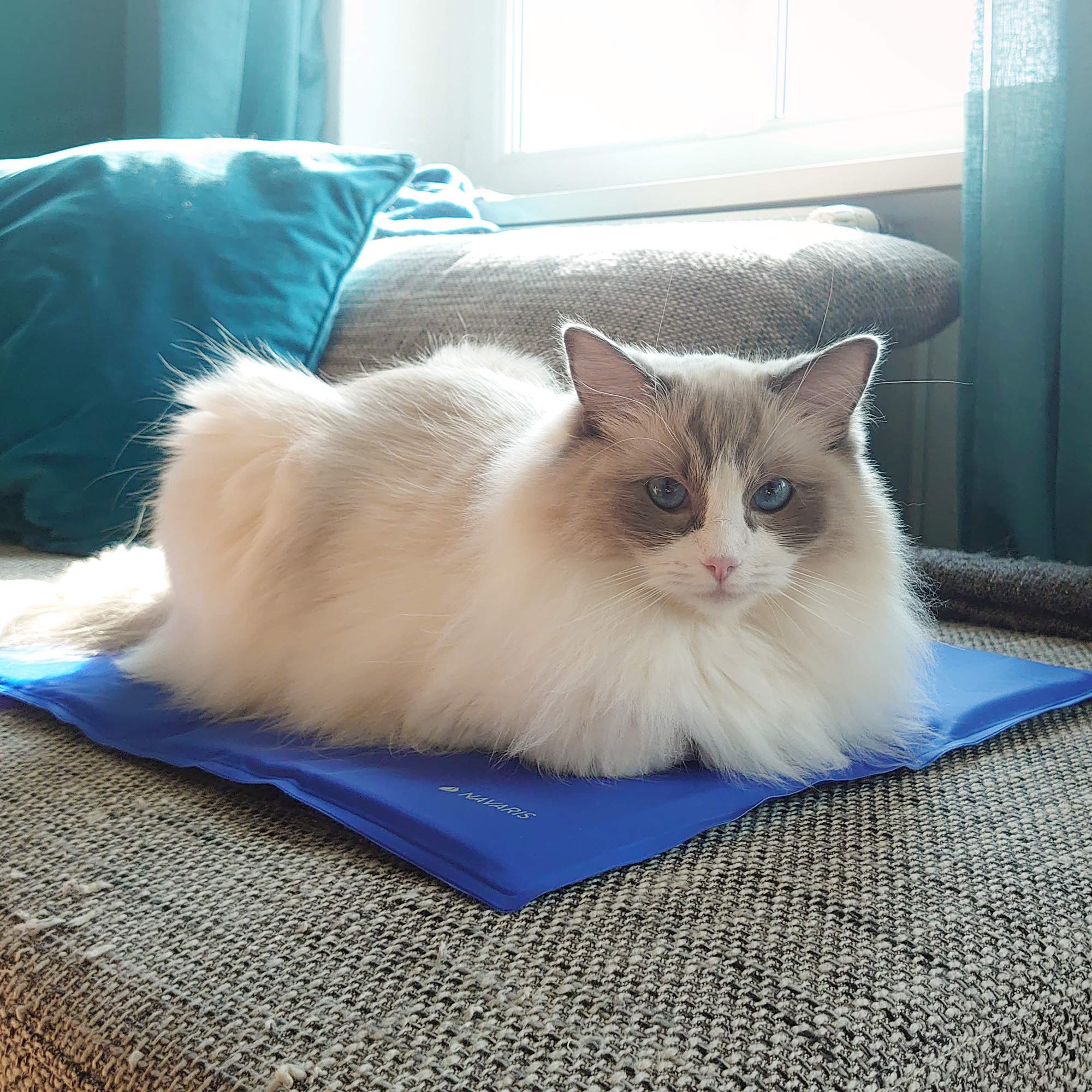 Navaris Tappeto rinfrescante per Cani Gatti - Tappetino refrigerante per Animali per la Regolazione della Temperatura corporea - 40X50cm Blu Scuro