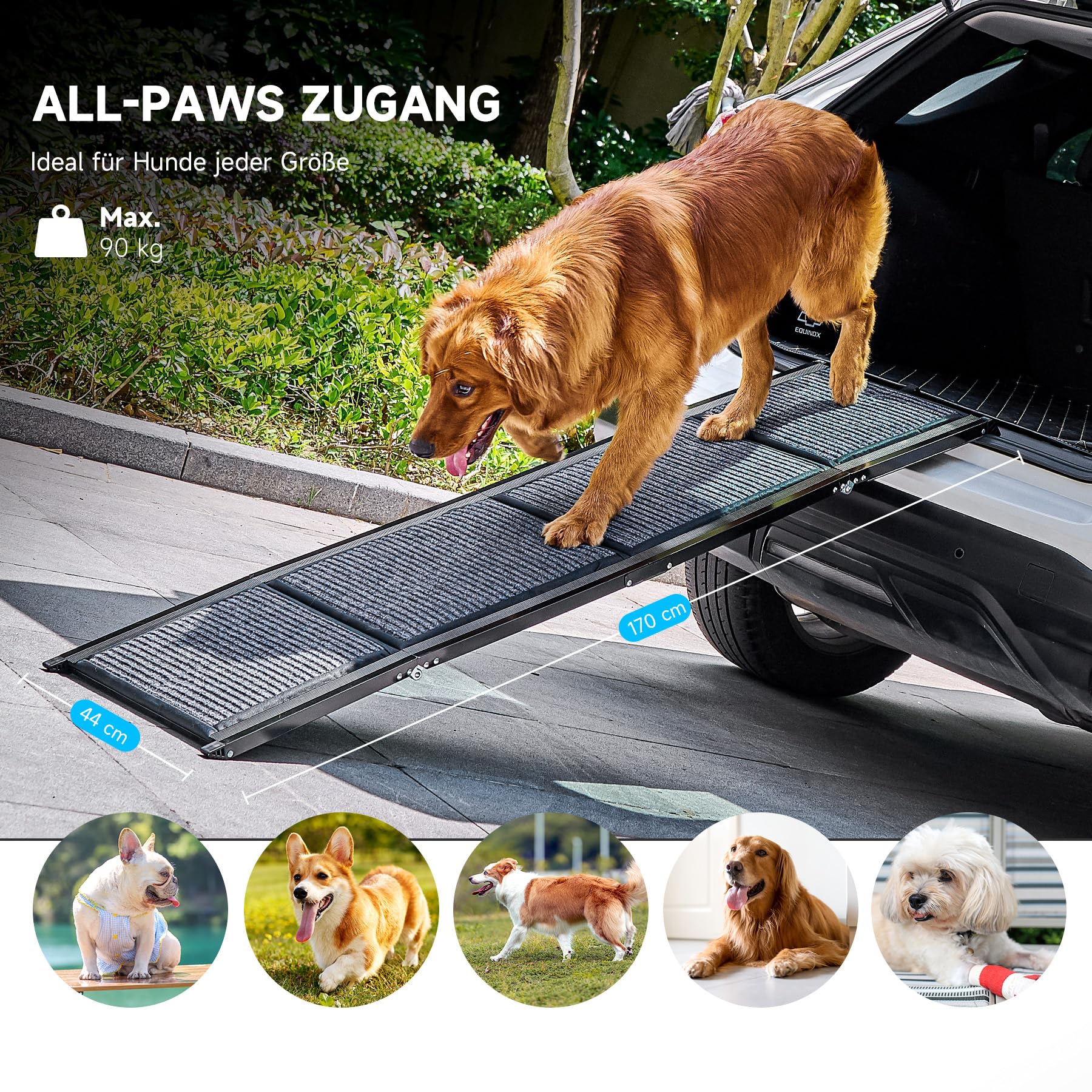 CO-Z Hunderampe Auto klappbar 170cm Leichteres EIN- und Aussteigen für kleine und große Hunde bis 90kg Hundetreppe mit Rutschfester Oberfläche für alle Fahrzeuge nutzbar (170cm)