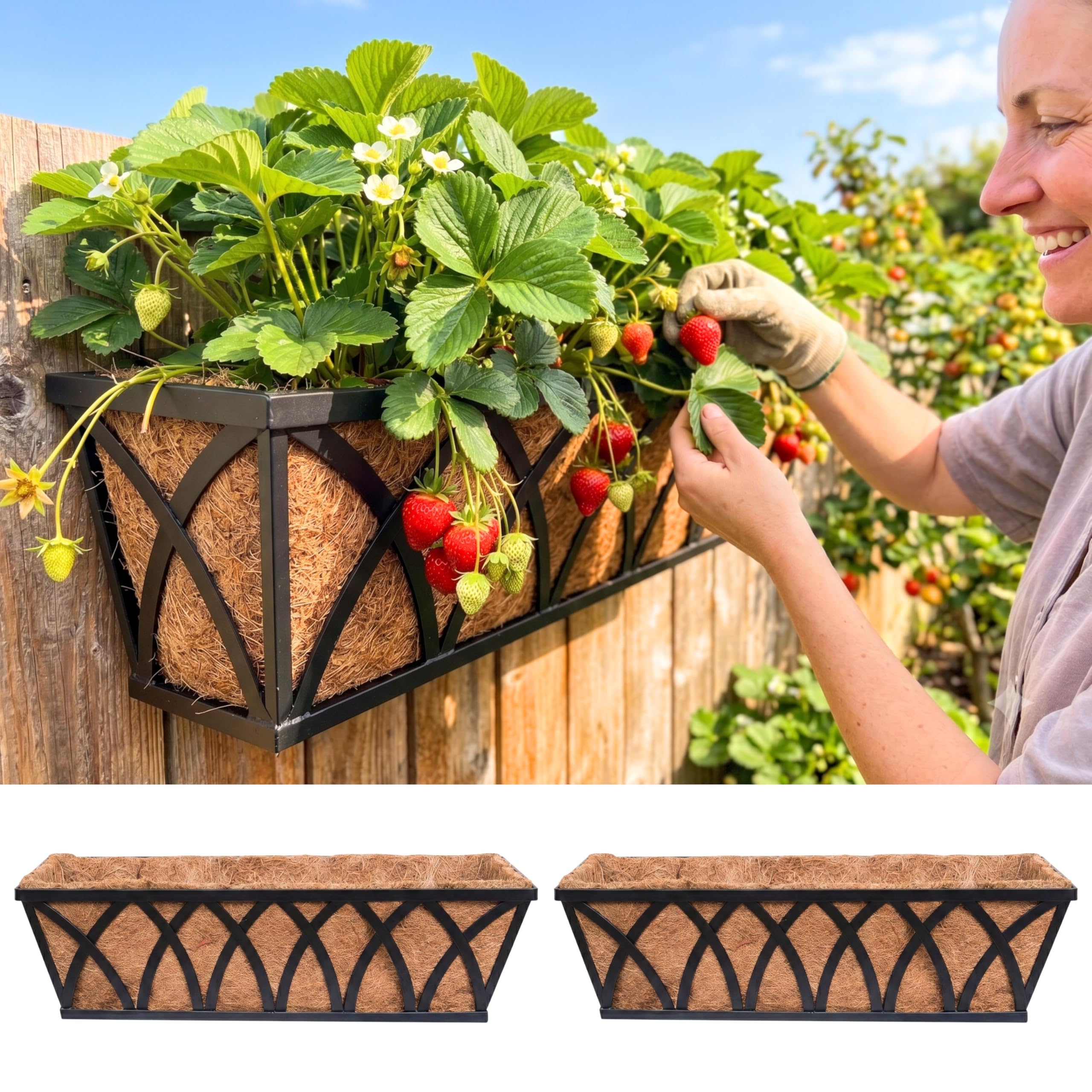 LaLaGreen 24 Inch 2-Pack