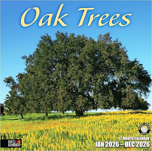 Miniatura 31 de RED EMBER Enchanted Places - Calendario de pared 2026 de 12 meses, 12 x 24 pulgadas, abierto, papel grueso y resistente, para regalo, calendario