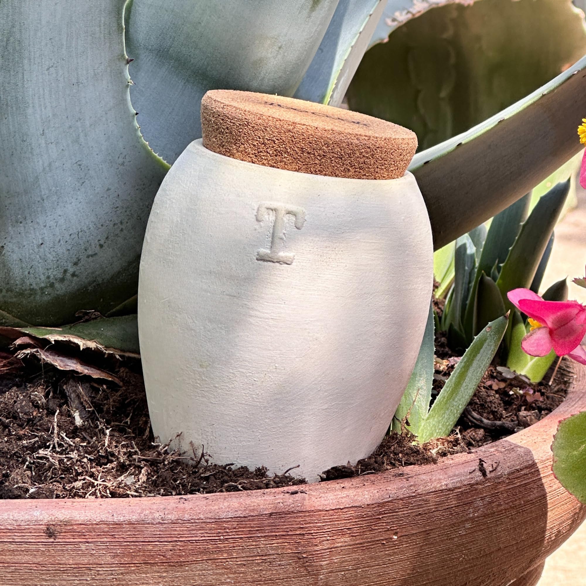 Olla in Terracotta Bianca per Irrigazione Automatica – Autonomia fino a 15 Giorni – A Lento Rilascio Per Piante Grasse a basso fabbisogno idrico da Interno ed Esterno – 250 ml (Bianco 4 Pz)