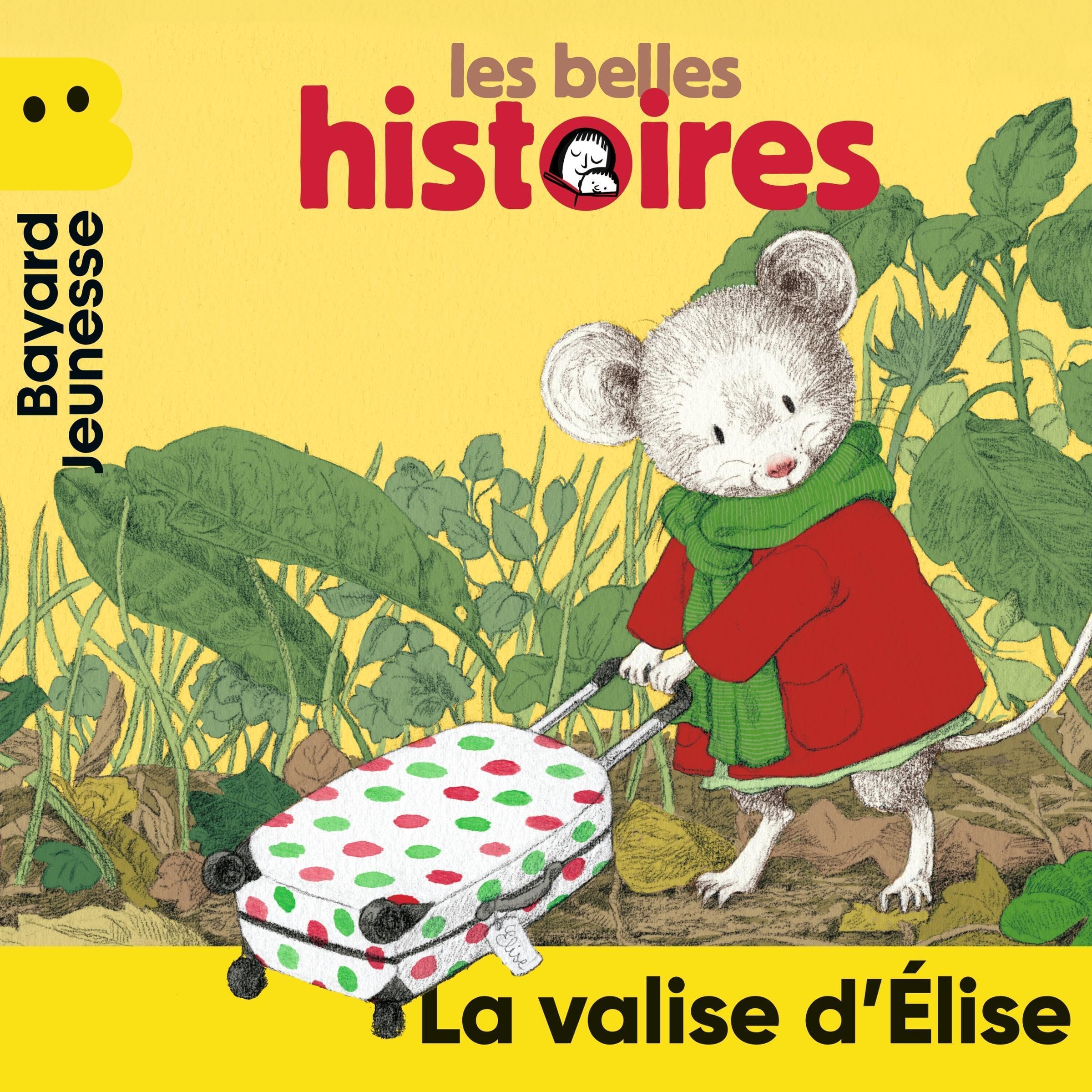 Cover art for La valise d'Élise