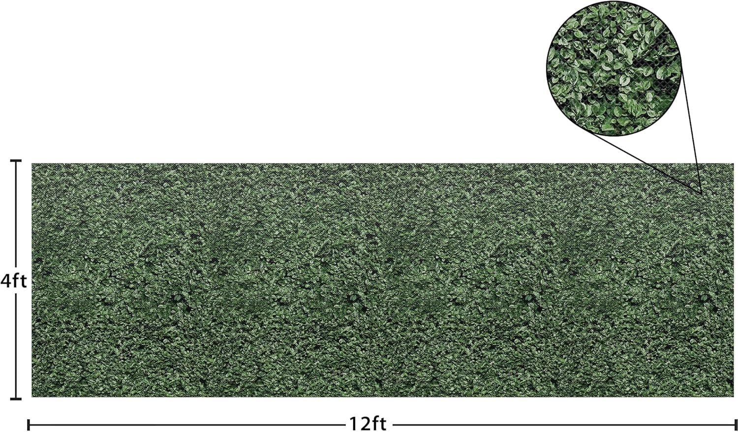 Teacher Created Resources Boxwood Better Than Paper Bulletin Board Roll (TCR77448)