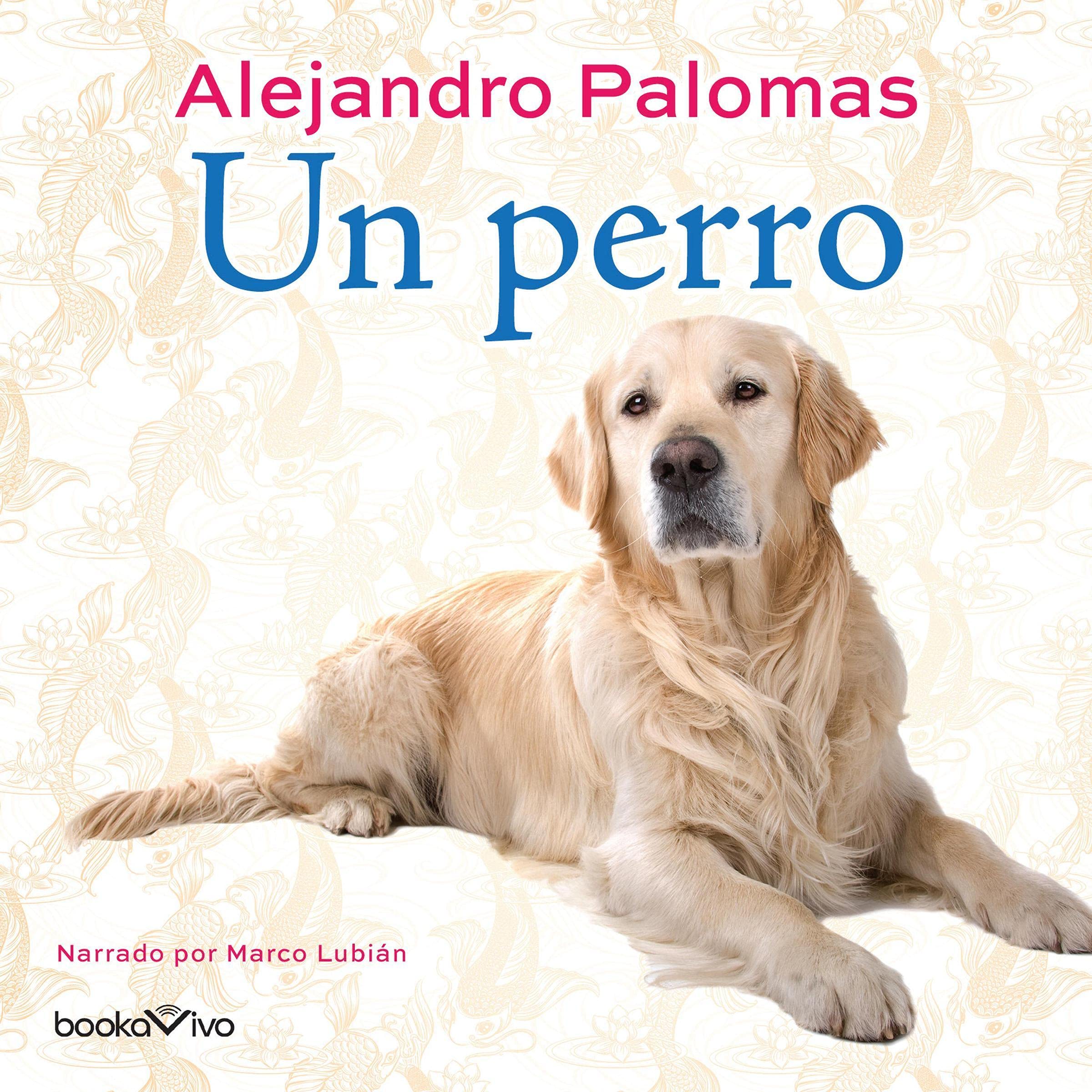Cover art for Un perro