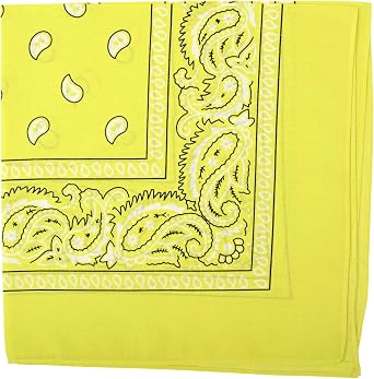 Motique Accessories 22 Inch Cotton Paisley Bandana
