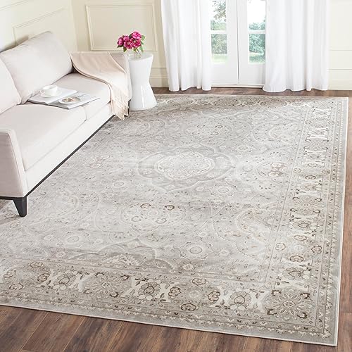SAFAVIEH Persian Garden Collection - Alfombra de área de 8 x 10 pies 2 pulgadas, color plateado y marfil, diseño tradicional de viscosa oriental,