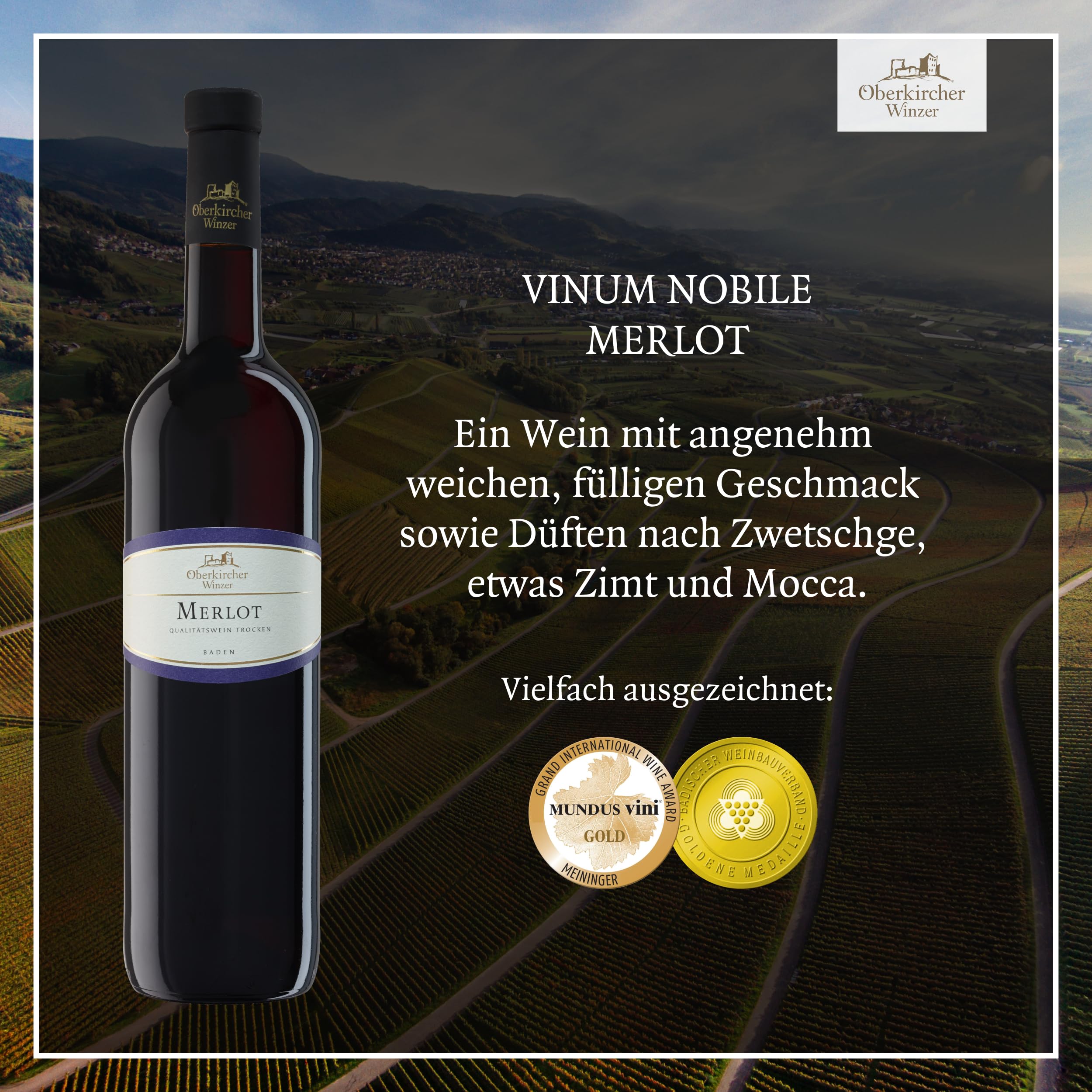 Oberkircher Winzer Wein Probierpaket - VINUM NOBILE - Riesling, Grauburgunder, Chardonnay, Spätburgunder, Merlot, Syrah - Premium Weißweine & Rotweine trocken aus Baden (6 x 0,75l)