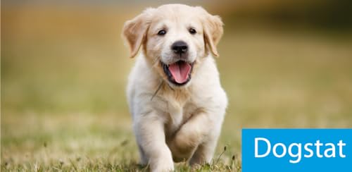 Dogstat - Frases para o seu animal de estimação compartilhar