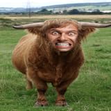 Capture a new photo or choose existing picture from the image gallery