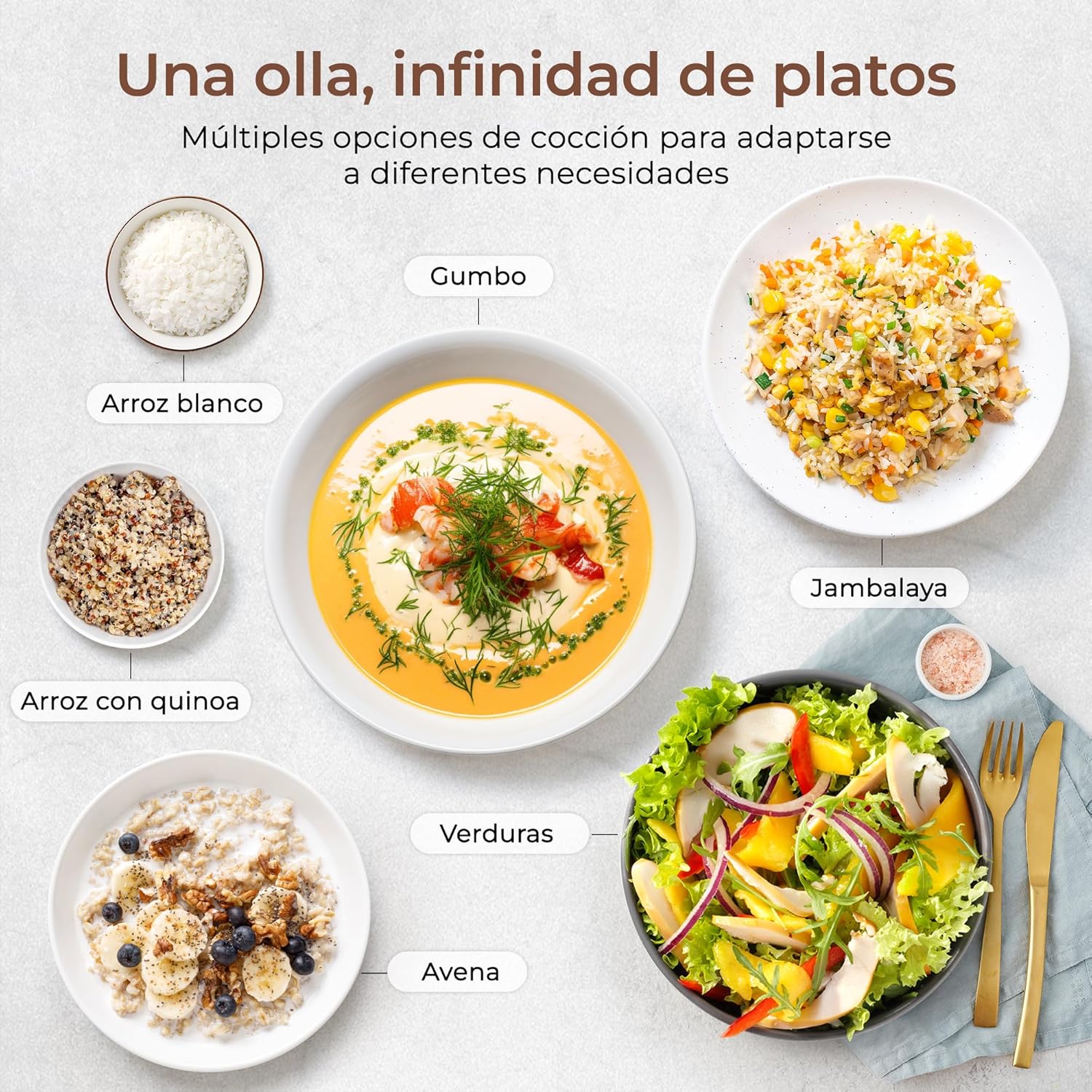 Variety of dishes that can be cooked in the TOKIT Rice Cooker, including white rice, quinoa rice, gumbo, jambalaya, vegetables, and oatmeal.