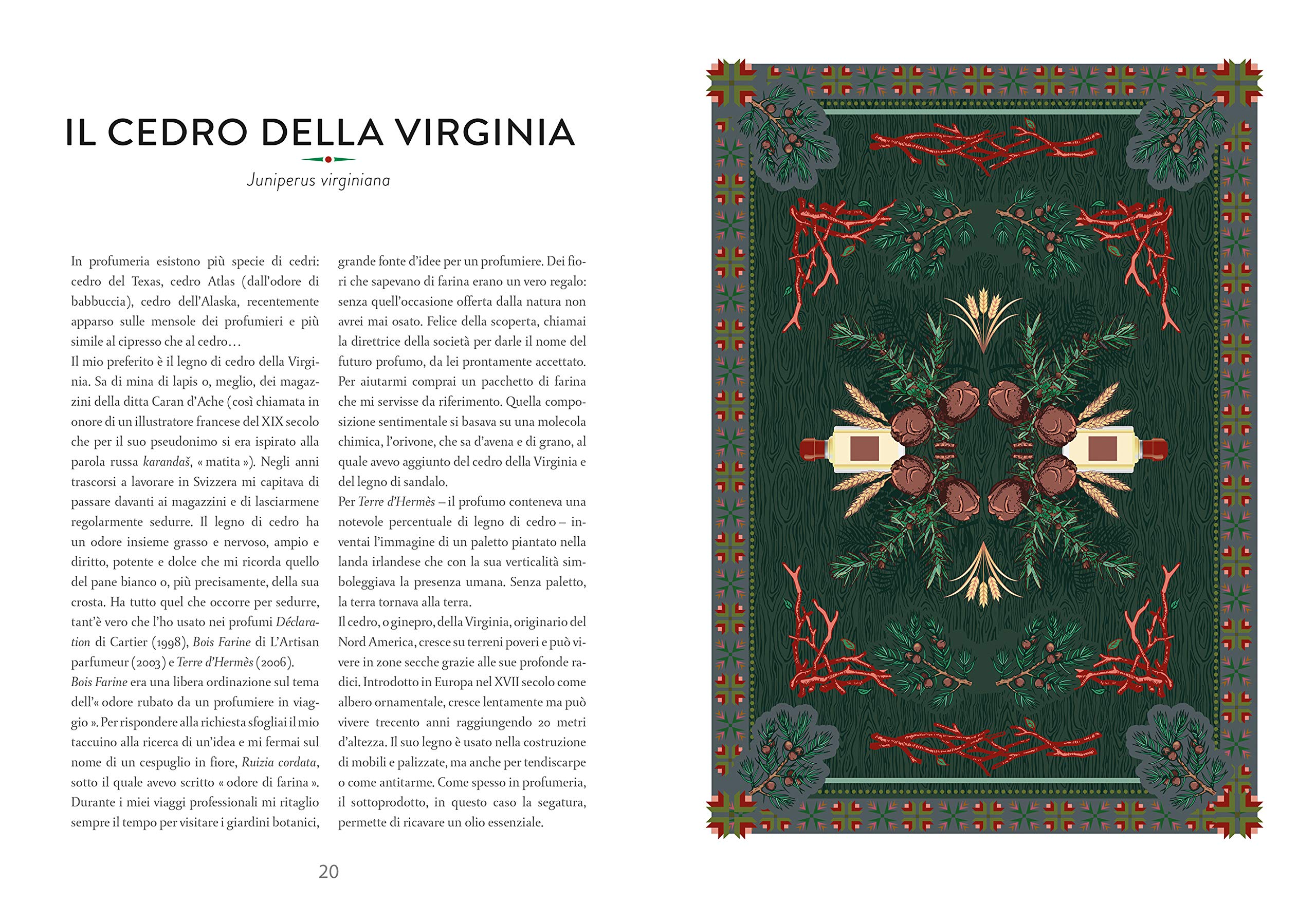 Atlante di botanica profumata