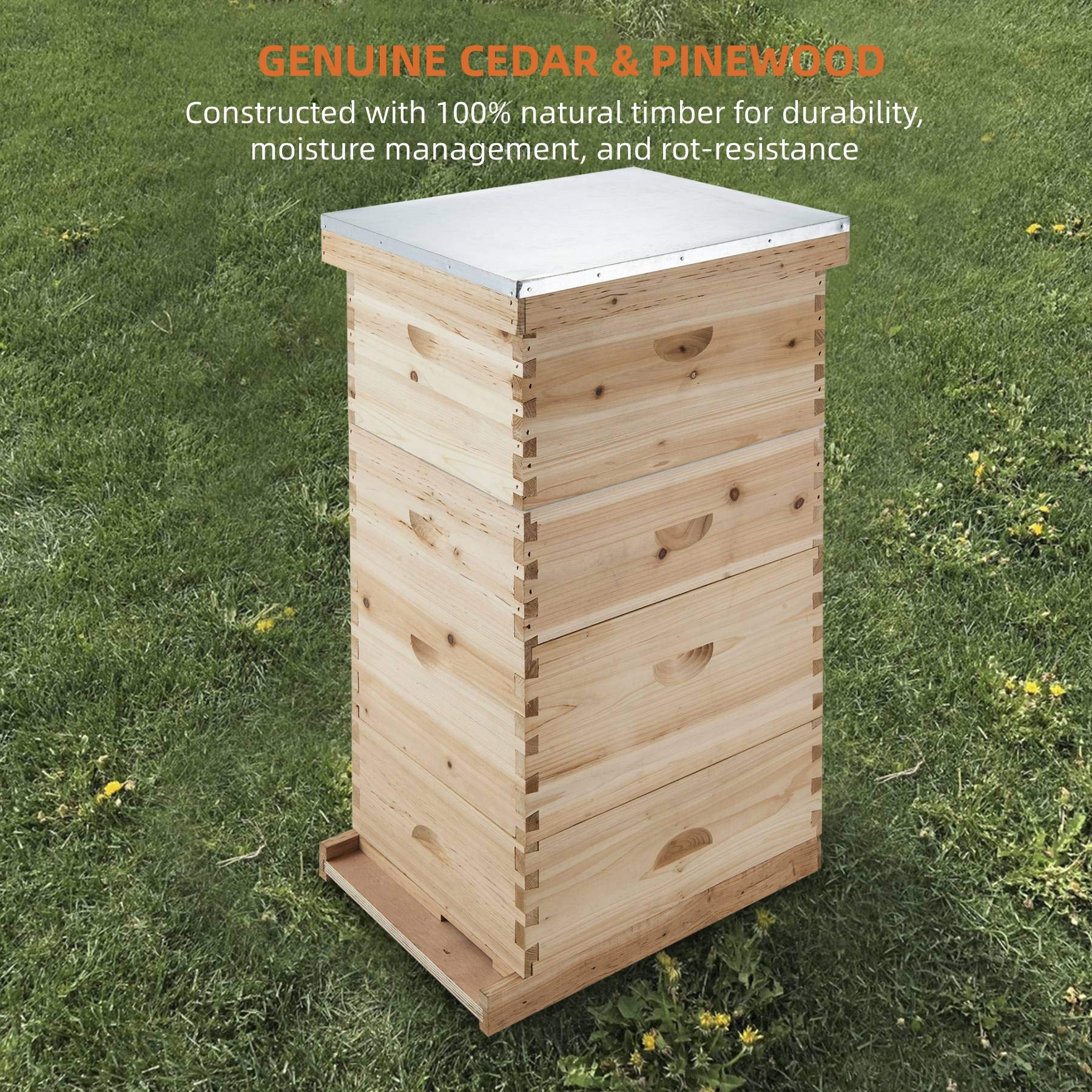 Buy CREWORKS Bee Hive, 4 Layer Beehive Bee Box, Bee Keeping Supplies