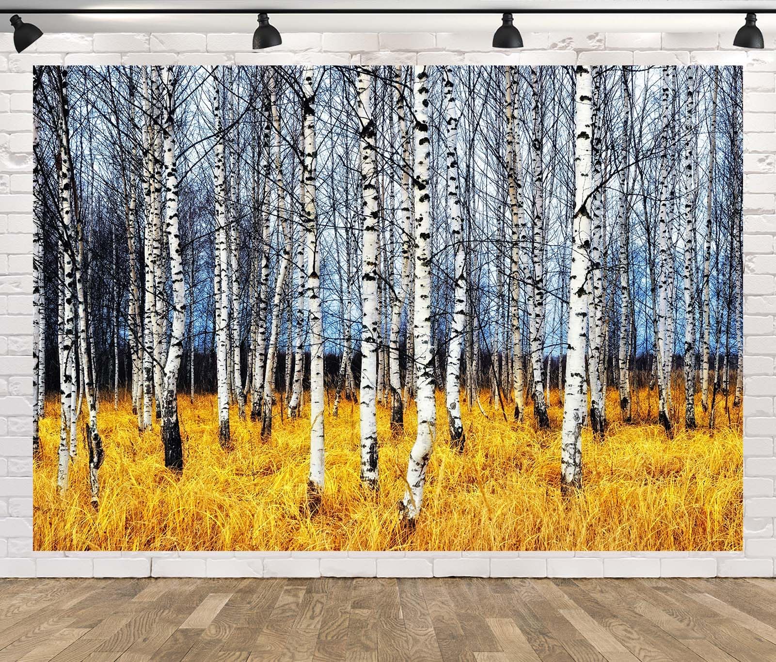 CORFOTO Autumn Forest White Birch Trees Backdrop Fabric 17x10ft Orange Grass Bare Trunk Nature Scene Background for Fall Scenery Birthday Party Decorations Baby Shower Halloween Photoshoot Props