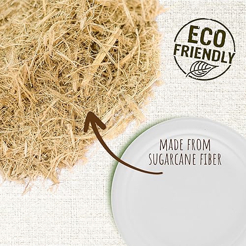 Miniatura 4 de brheez Platos desechables de papel de 9 pulgadas, platos compostables alternativos, resistentes (paquete de 110), ecológicos, 100% fibra de bagazo