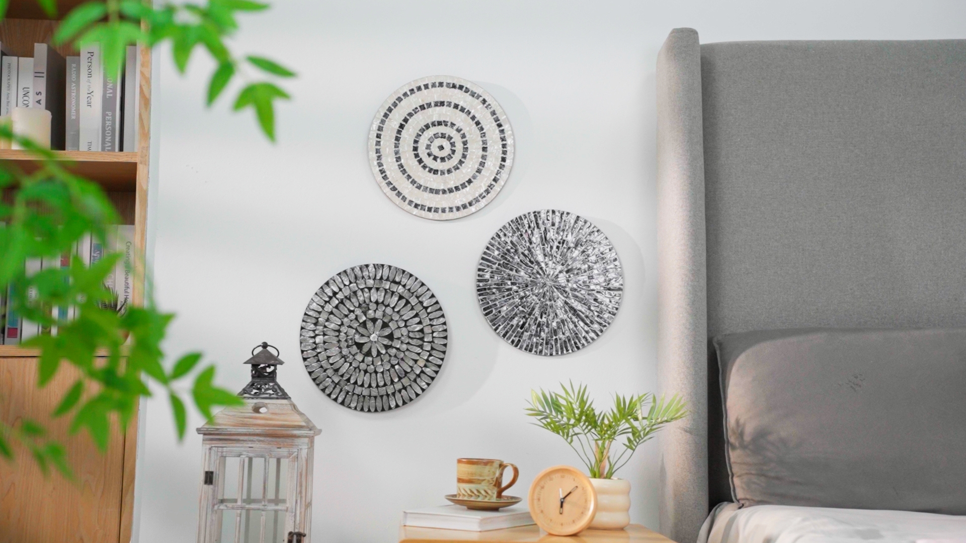 Amazon.com: Tioncy 3 Pcs 3 Pcs 11.8 Inches Mother of Pearl Shell